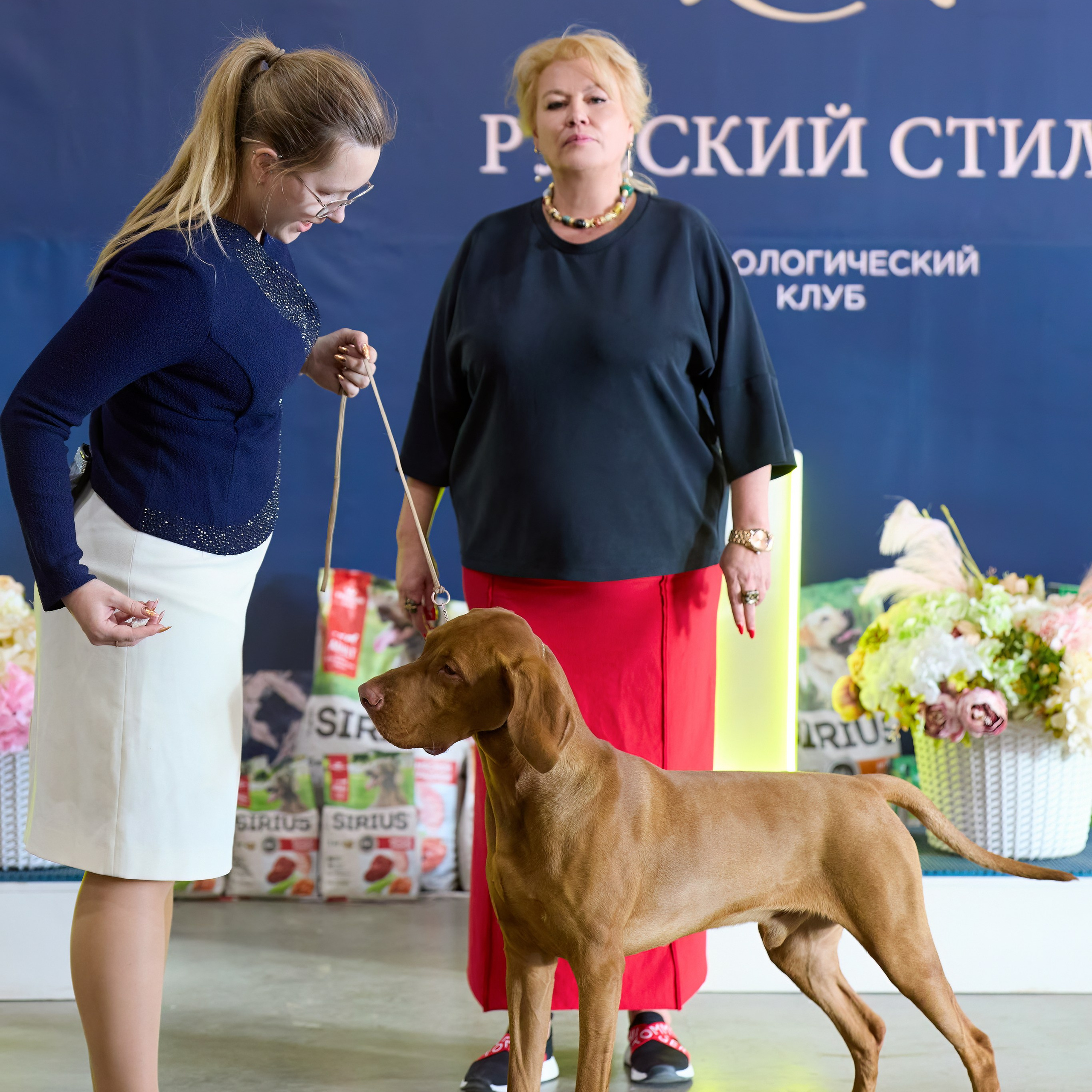 21.03.2026 СПб РОО РУССКИЙ СТИЛЬ. ВЫСТАВКА СОБАК ВСЕХ ПОРОД (САС, ЧФ). Кинологический клуб РКФ РФСС СЕНСАЦИЯ