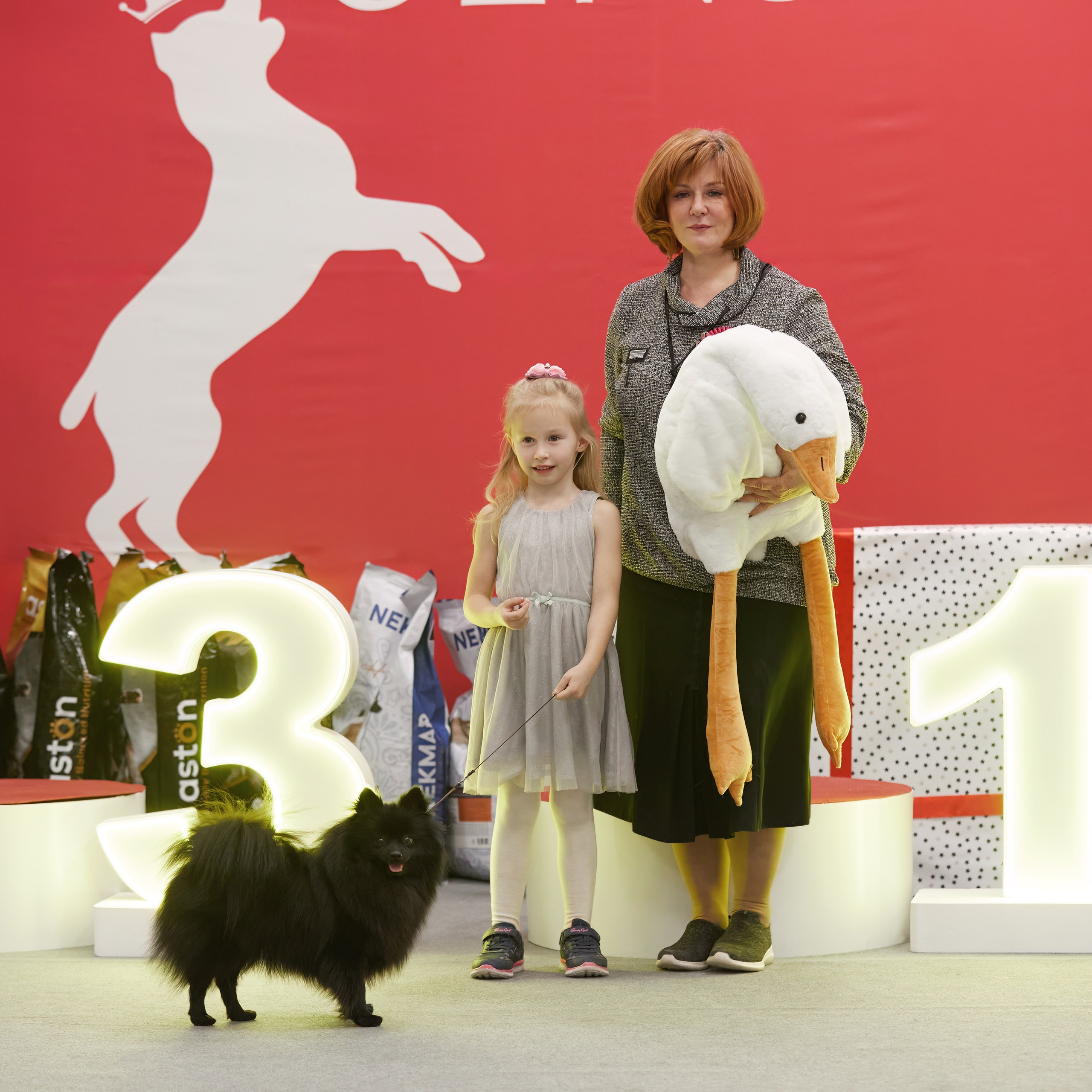 10-11.02.2024 ВЫСТАВКА СОБАК ВСЕХ ПОРОД (САС, ЧФ). Кинологический клуб РКФ РФСС СЕНСАЦИЯ