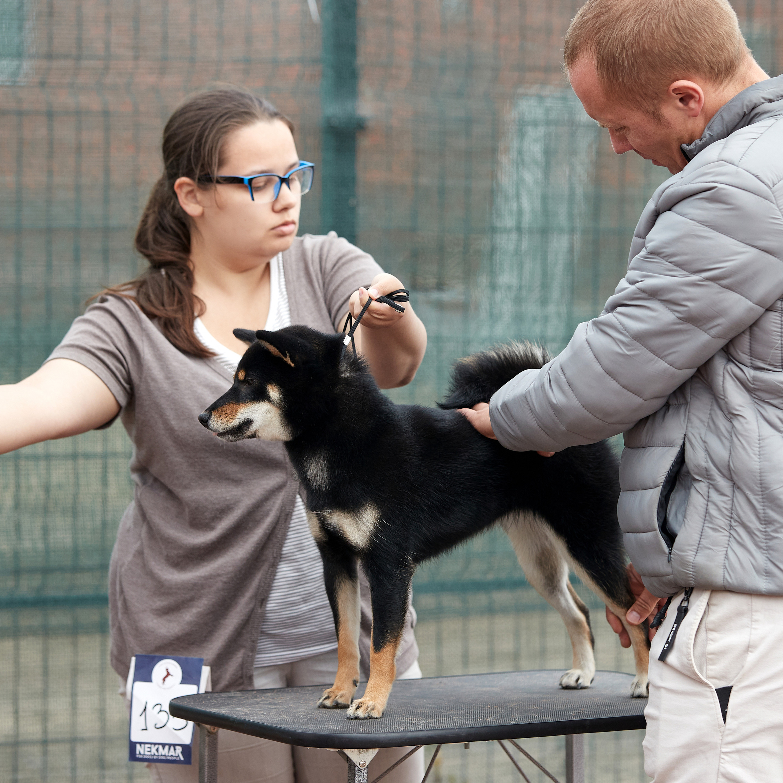 18.09.22 ВЫСТАВКА СОБАК ВСЕХ ПОРОД (CAC, ЧФ) «СЕНСАЦИЯ-2022». Кинологический клуб РКФ РФСС СЕНСАЦИЯ