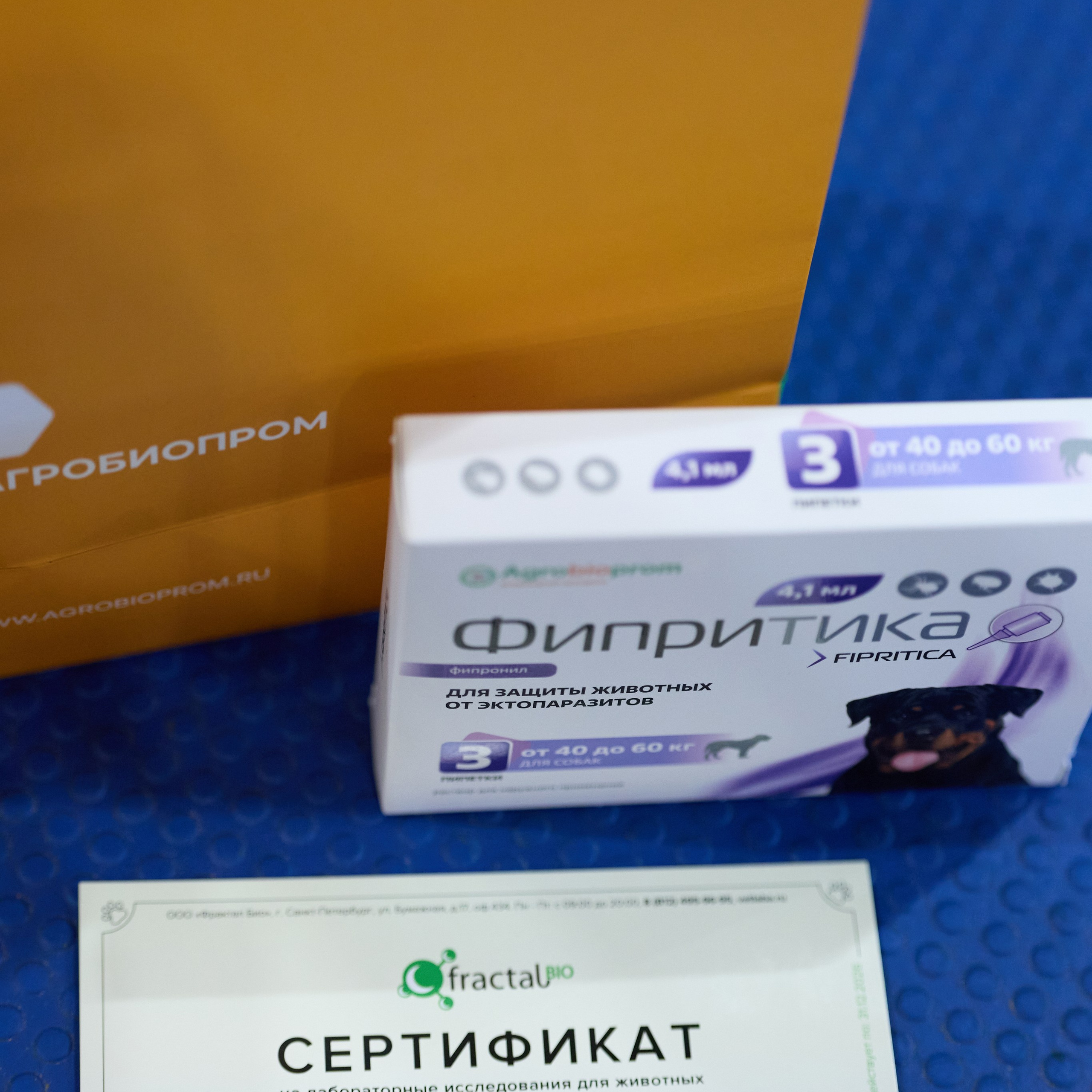 21.03.2026 СПб РОО РУССКИЙ СТИЛЬ. ВЫСТАВКА СОБАК ВСЕХ ПОРОД (САС, ЧФ). Кинологический клуб РКФ РФСС СЕНСАЦИЯ