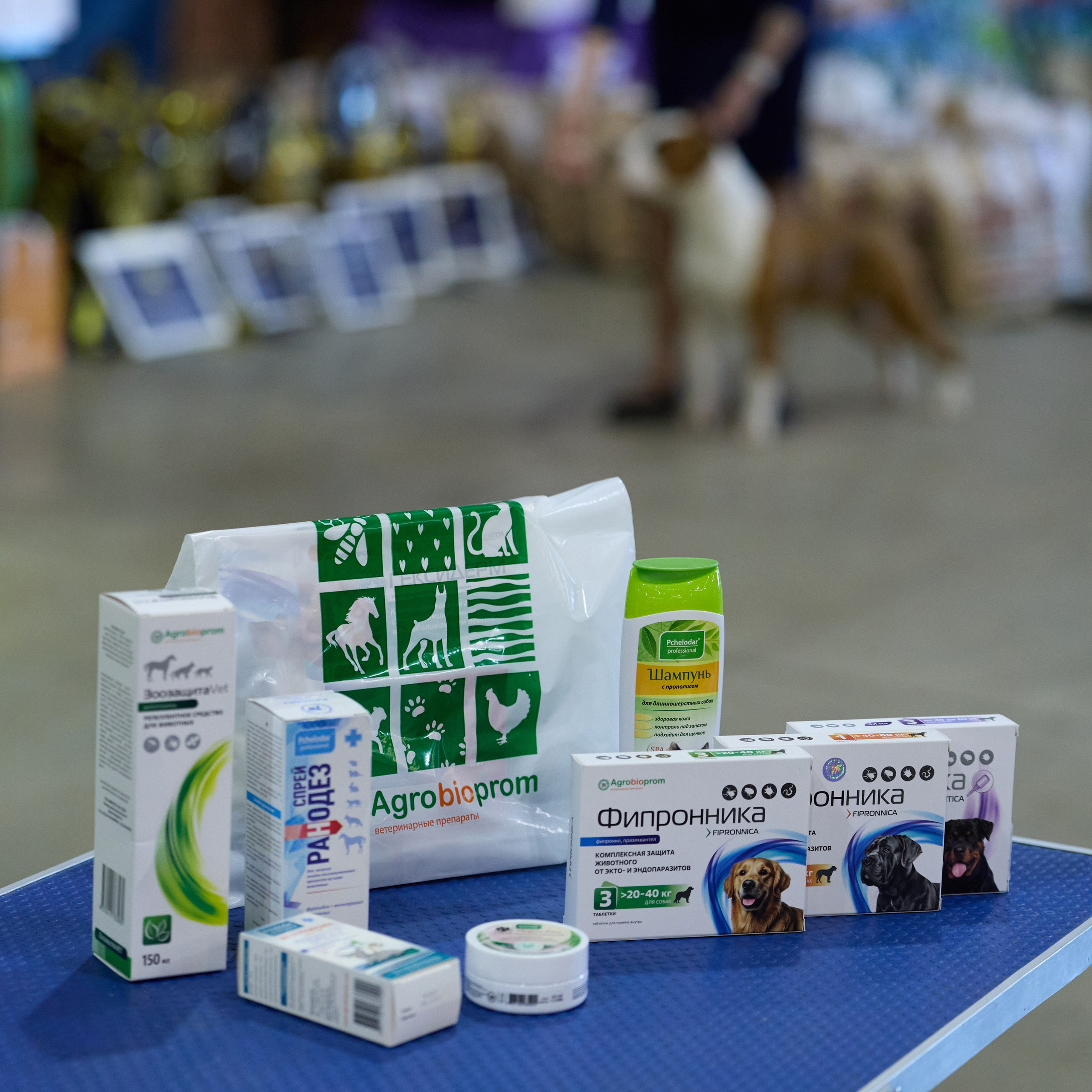 21.03.2026 СПб РОО РУССКИЙ СТИЛЬ. ВЫСТАВКА СОБАК ВСЕХ ПОРОД (САС, ЧФ). Кинологический клуб РКФ РФСС СЕНСАЦИЯ