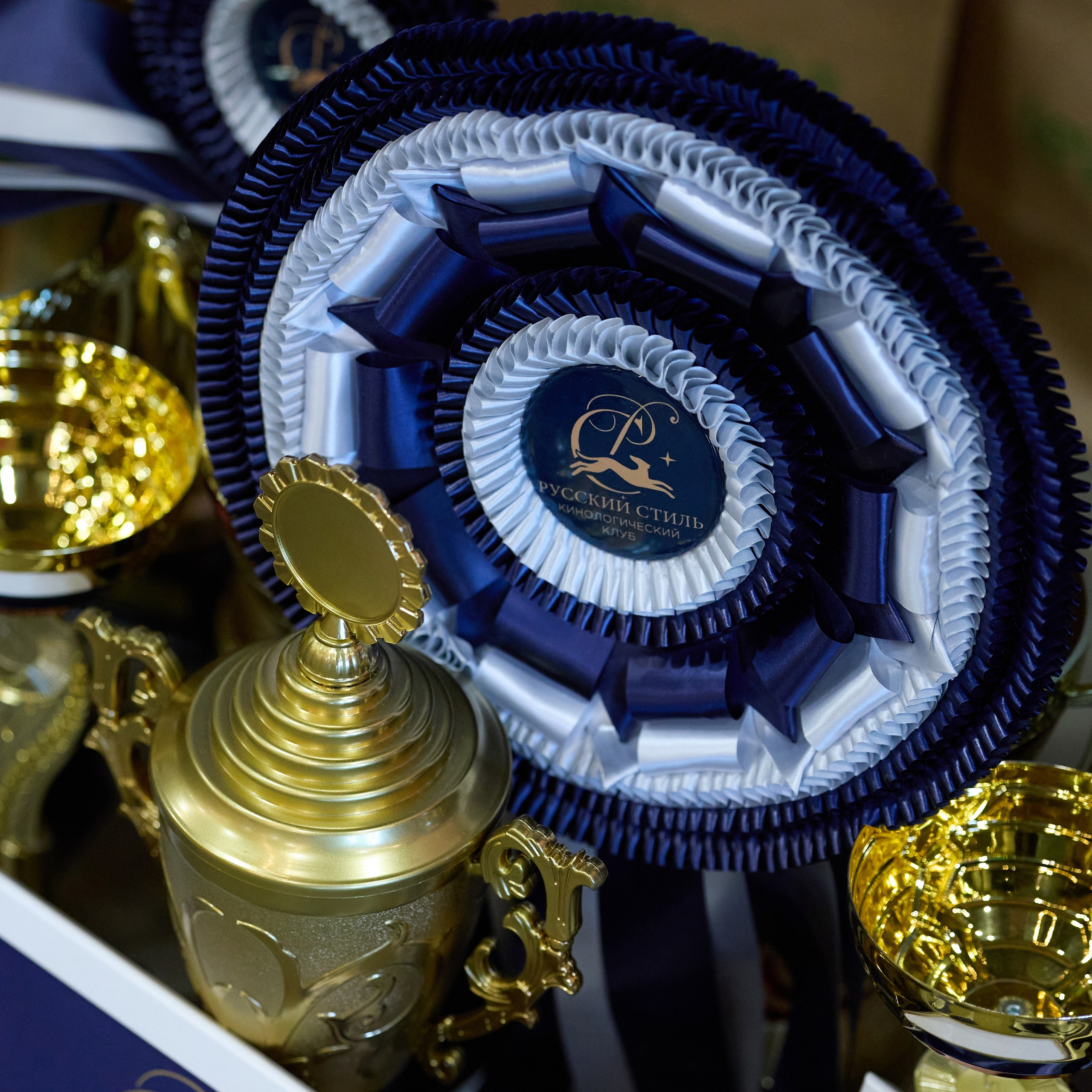 21.03.2026 СПб РОО РУССКИЙ СТИЛЬ. ВЫСТАВКА СОБАК ВСЕХ ПОРОД (САС, ЧФ). Кинологический клуб РКФ РФСС СЕНСАЦИЯ