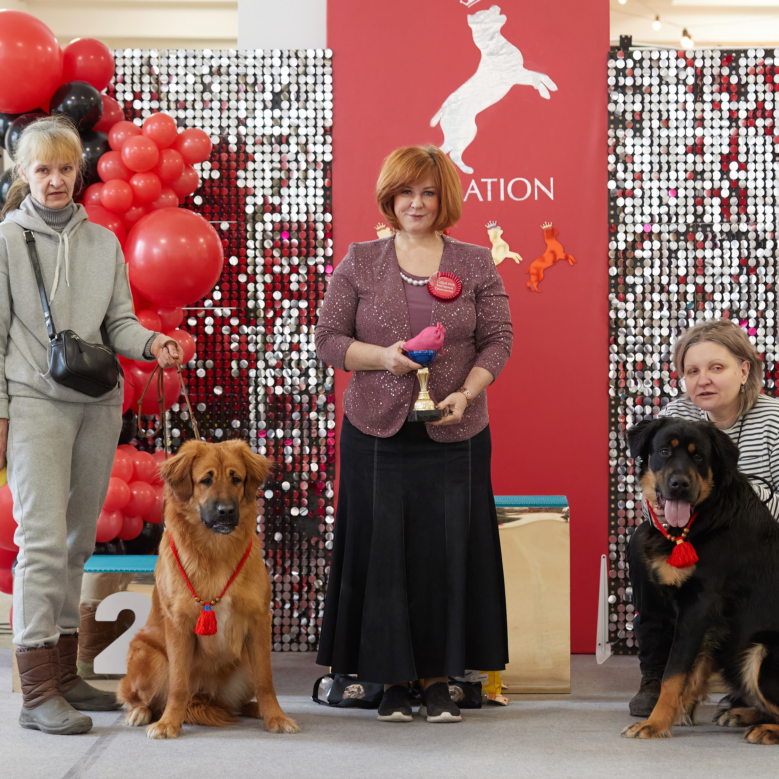 10-11.02.2024 ВЫСТАВКА СОБАК ВСЕХ ПОРОД (САС, ЧФ). Кинологический клуб РКФ РФСС СЕНСАЦИЯ
