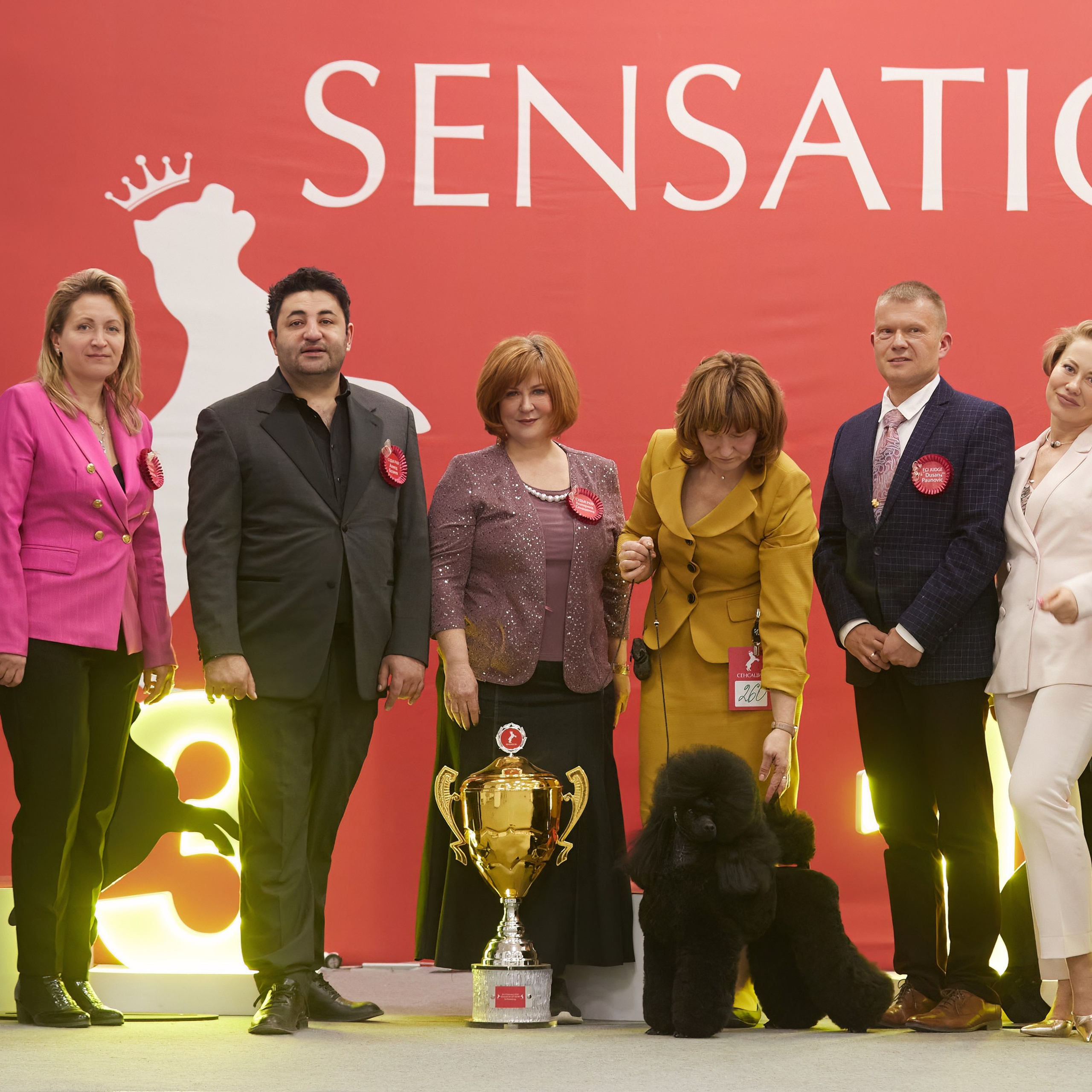 10-11.02.2024 ВЫСТАВКА СОБАК ВСЕХ ПОРОД (САС, ЧФ). Кинологический клуб РКФ РФСС СЕНСАЦИЯ