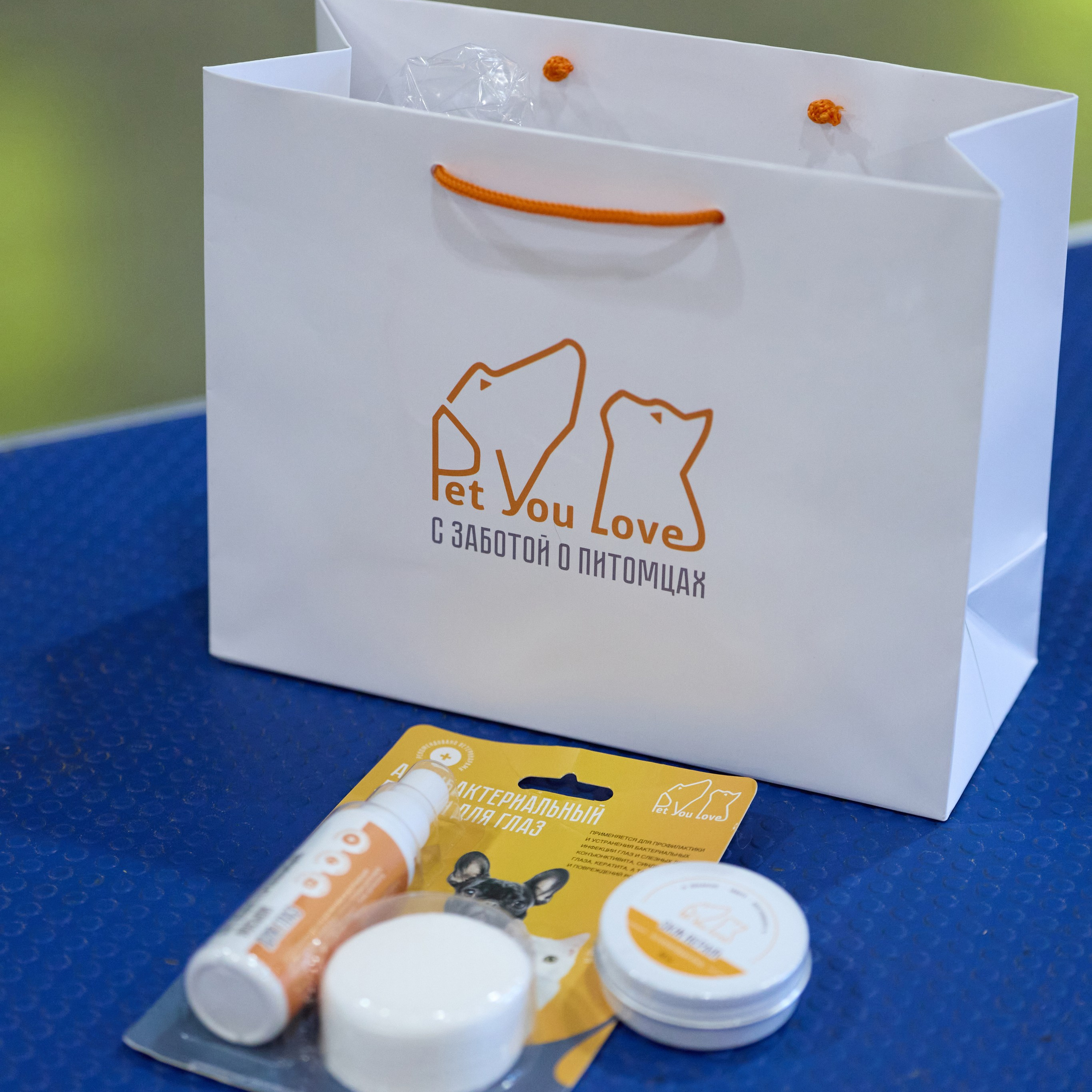 21.03.2026 СПб РОО РУССКИЙ СТИЛЬ. ВЫСТАВКА СОБАК ВСЕХ ПОРОД (САС, ЧФ). Кинологический клуб РКФ РФСС СЕНСАЦИЯ