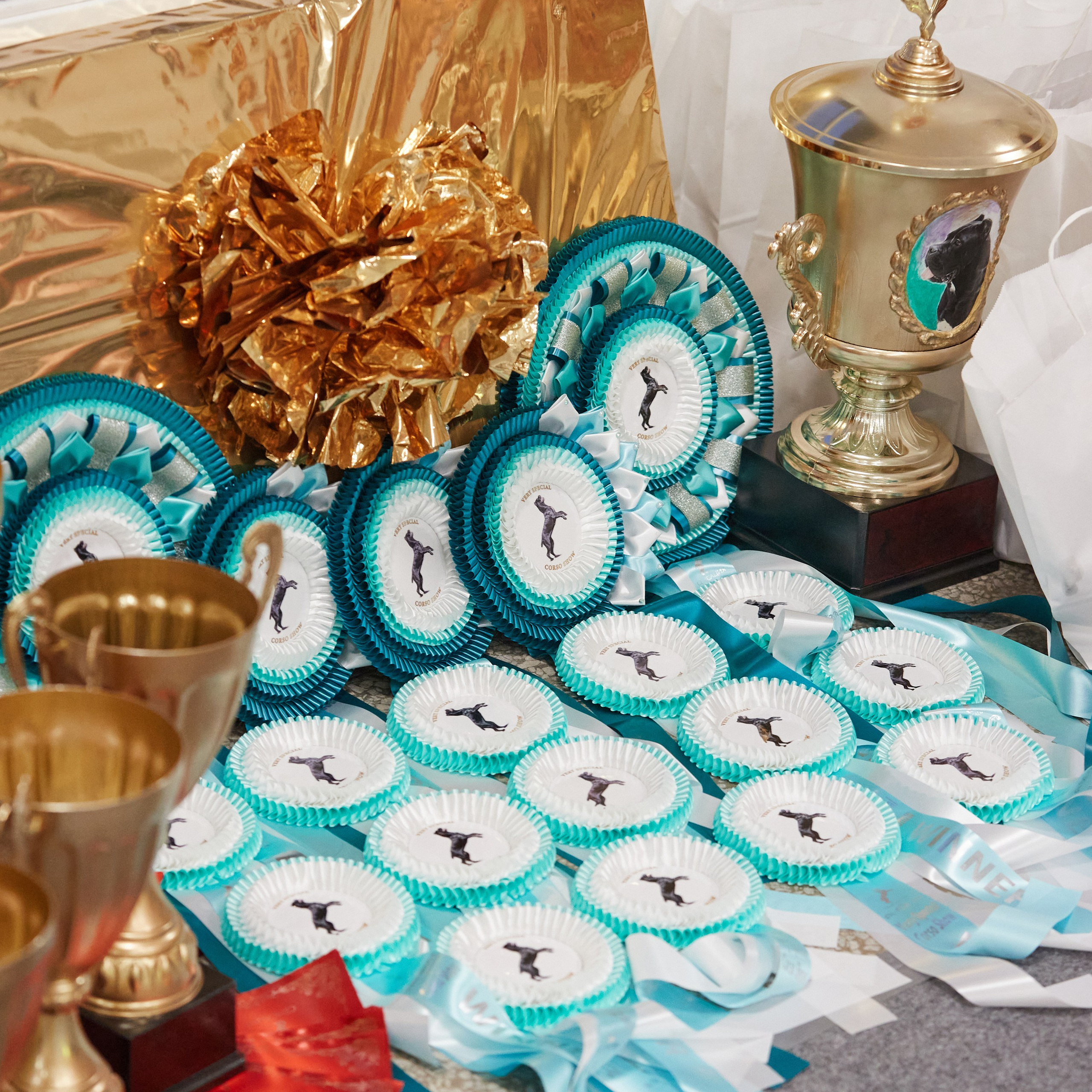 10-11.02.2024 ВЫСТАВКА СОБАК ВСЕХ ПОРОД (САС, ЧФ). Кинологический клуб РКФ РФСС СЕНСАЦИЯ