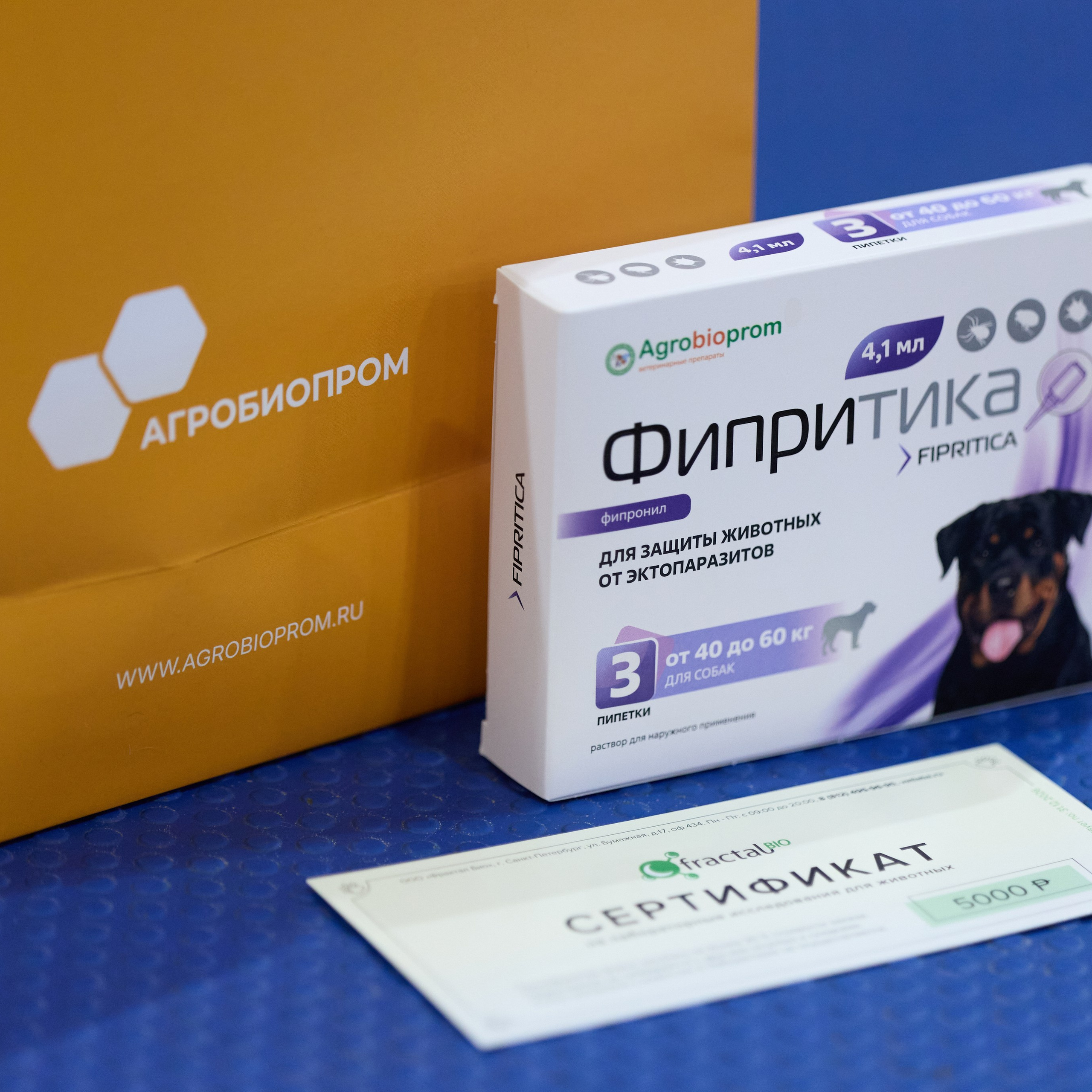 21.03.2026 СПб РОО РУССКИЙ СТИЛЬ. ВЫСТАВКА СОБАК ВСЕХ ПОРОД (САС, ЧФ). Кинологический клуб РКФ РФСС СЕНСАЦИЯ