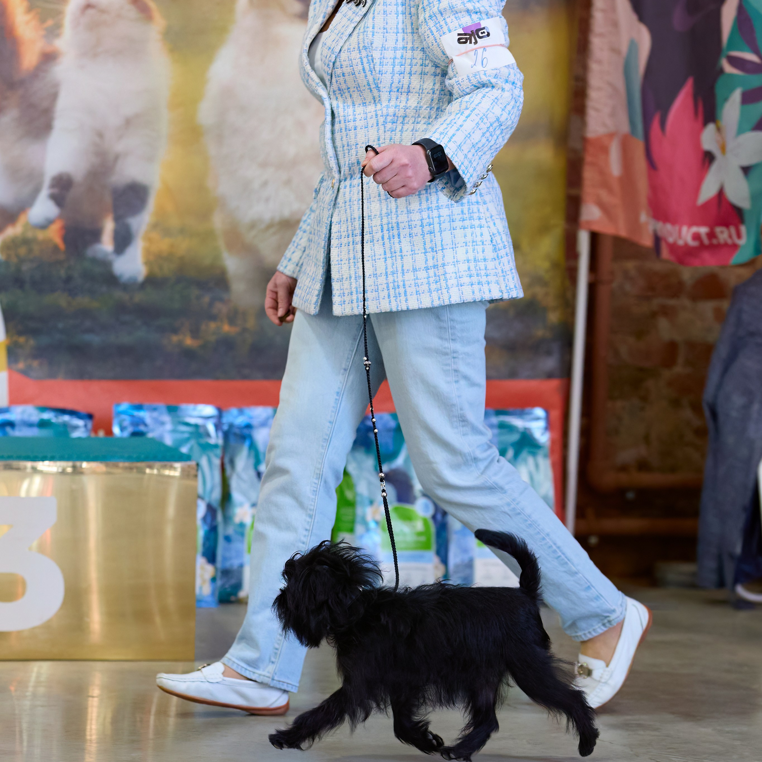 21.03.2026 СПб РОО РУССКИЙ СТИЛЬ. ВЫСТАВКА СОБАК ВСЕХ ПОРОД (САС, ЧФ). Кинологический клуб РКФ РФСС СЕНСАЦИЯ