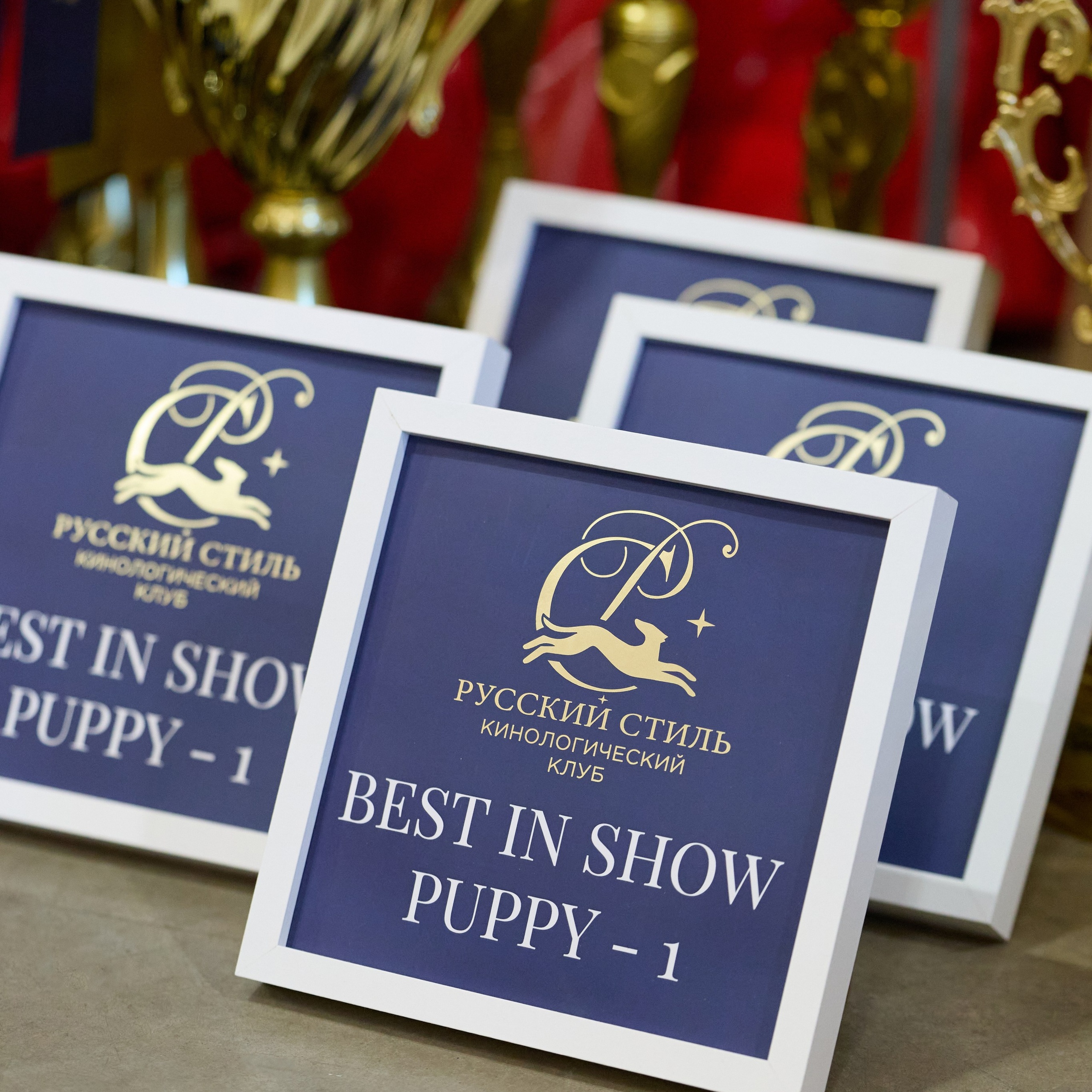 21.03.2026 СПб РОО РУССКИЙ СТИЛЬ. ВЫСТАВКА СОБАК ВСЕХ ПОРОД (САС, ЧФ). Кинологический клуб РКФ РФСС СЕНСАЦИЯ