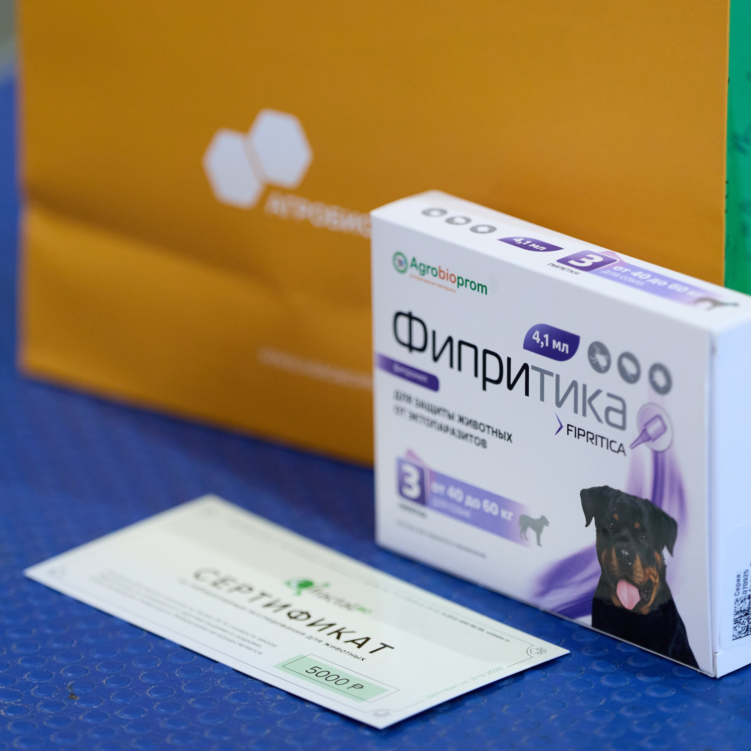 21.03.2026 СПб РОО РУССКИЙ СТИЛЬ. ВЫСТАВКА СОБАК ВСЕХ ПОРОД (САС, ЧФ). Кинологический клуб РКФ РФСС СЕНСАЦИЯ