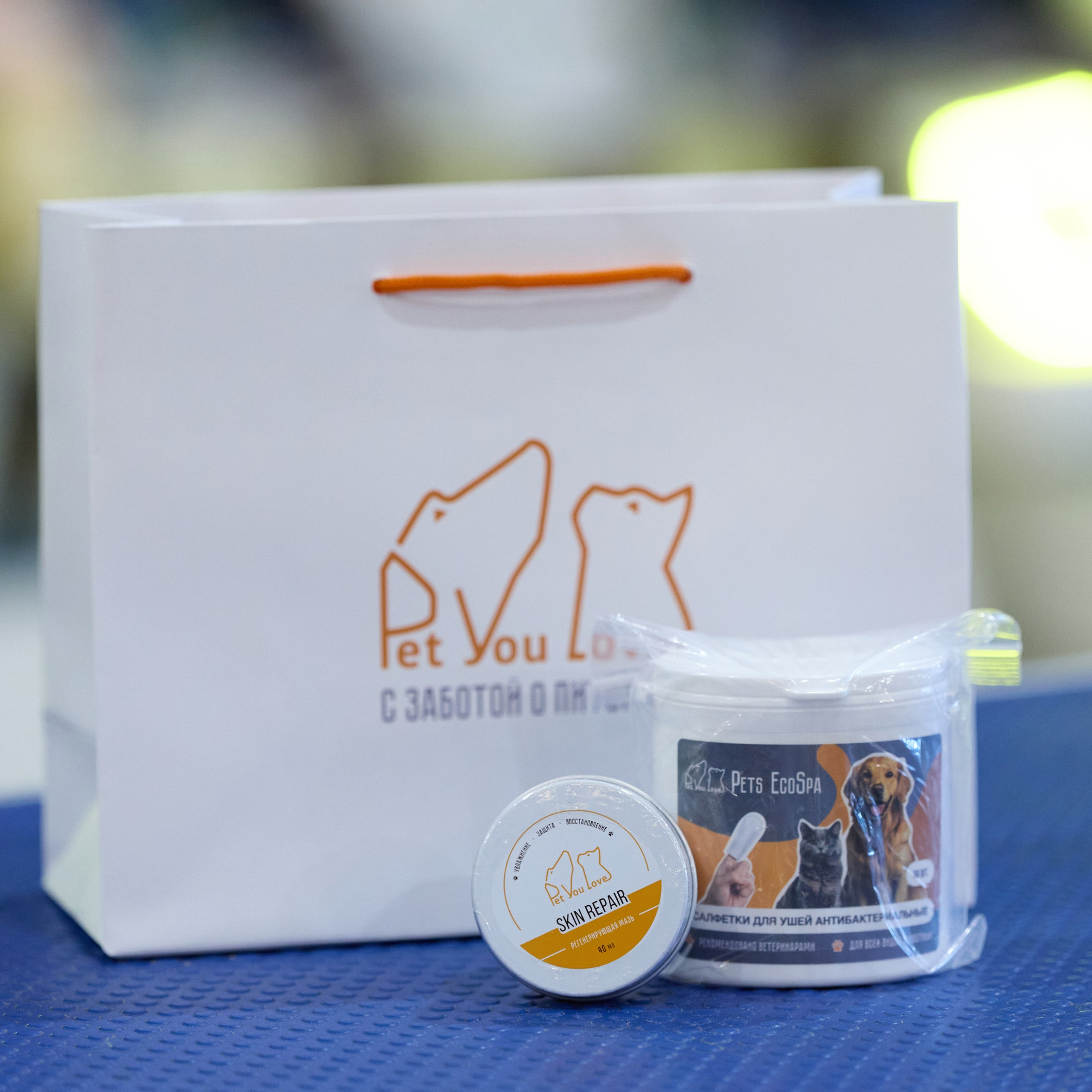 21.03.2026 СПб РОО РУССКИЙ СТИЛЬ. ВЫСТАВКА СОБАК ВСЕХ ПОРОД (САС, ЧФ). Кинологический клуб РКФ РФСС СЕНСАЦИЯ