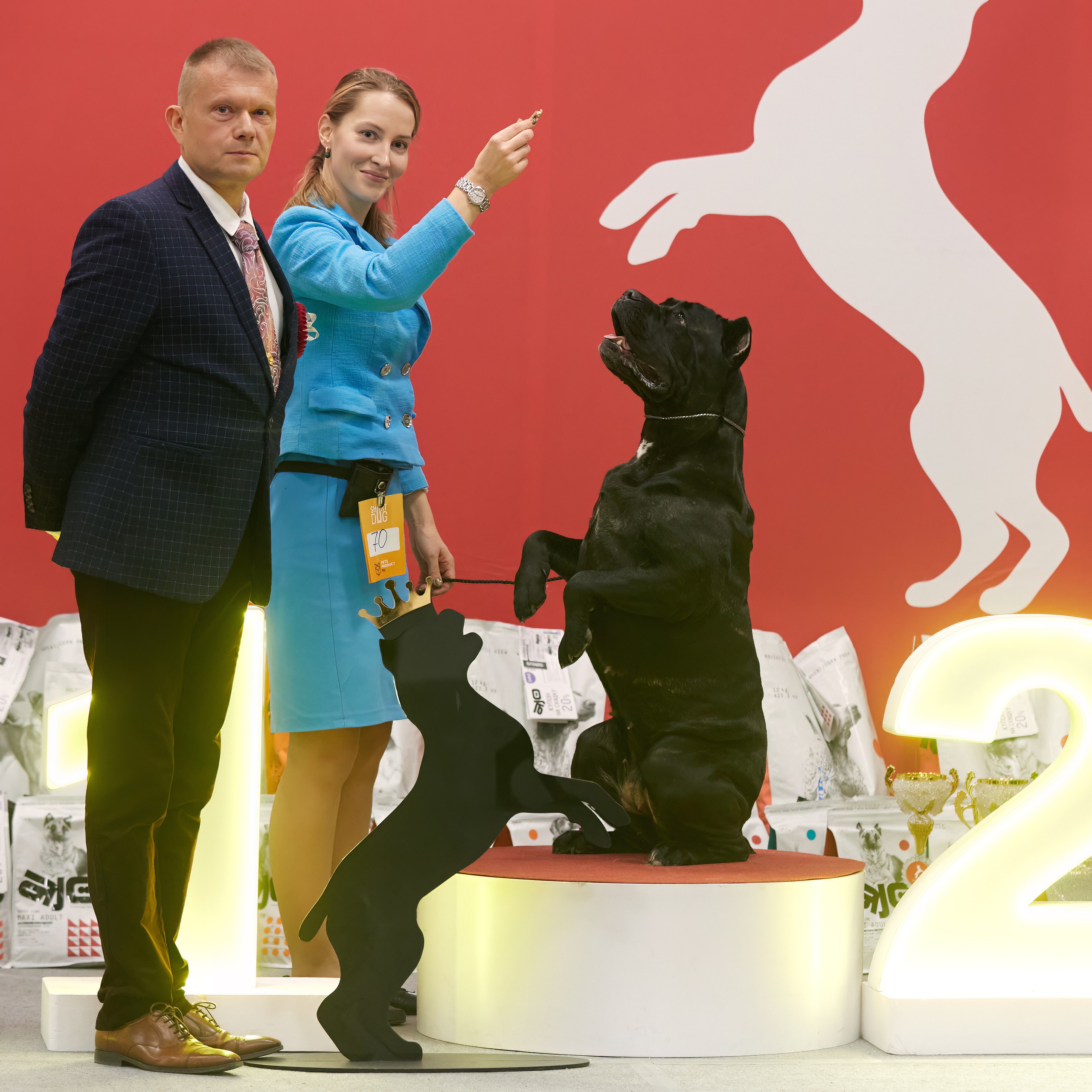 10-11.02.2024 ВЫСТАВКА СОБАК ВСЕХ ПОРОД (САС, ЧФ). Кинологический клуб РКФ РФСС СЕНСАЦИЯ