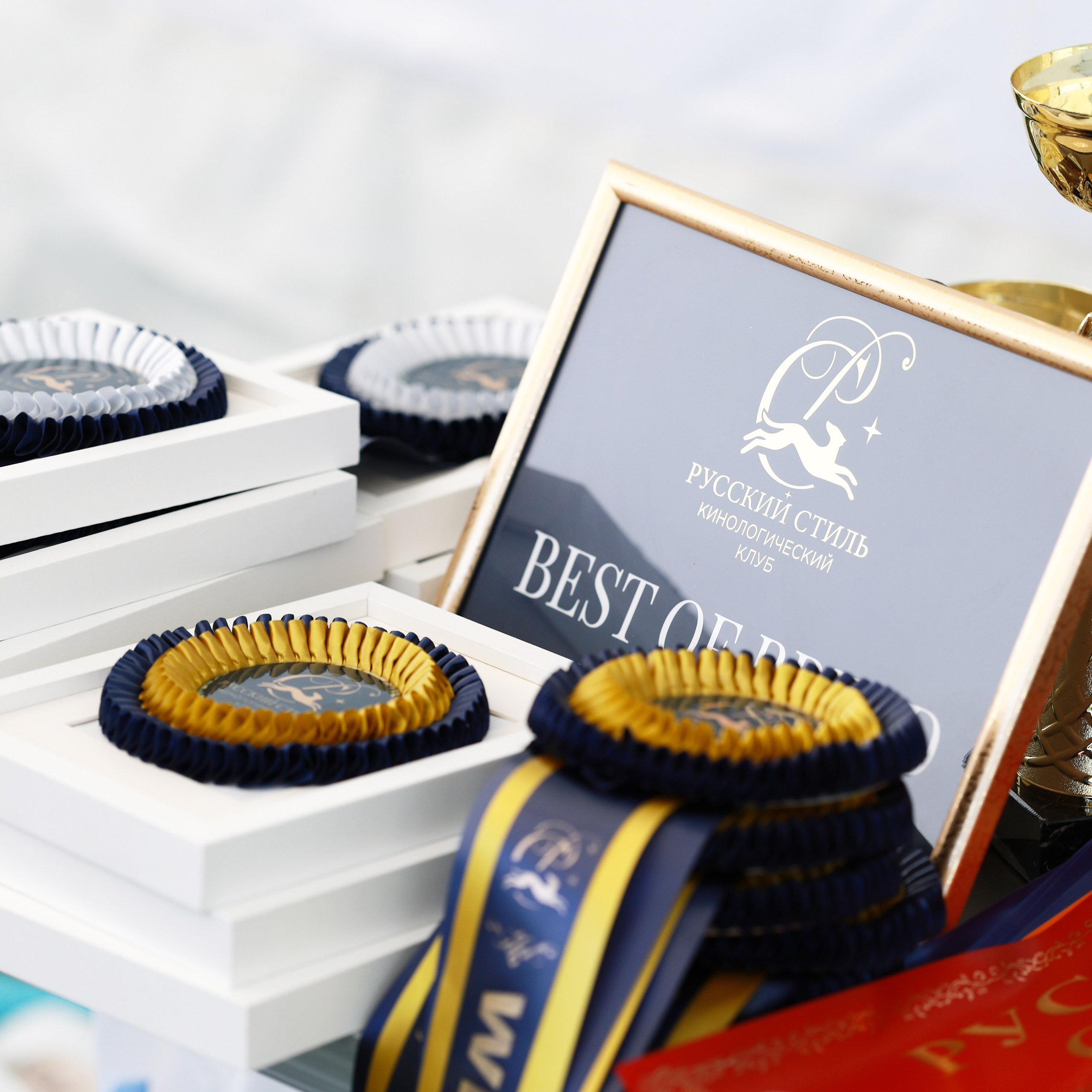 27-28.09.2025 ВЫСТАВКИ СОБАК ВСЕХ ПОРОД (САС, ЧРКФ, ЧФ). Кинологический клуб РКФ РФСС СЕНСАЦИЯ