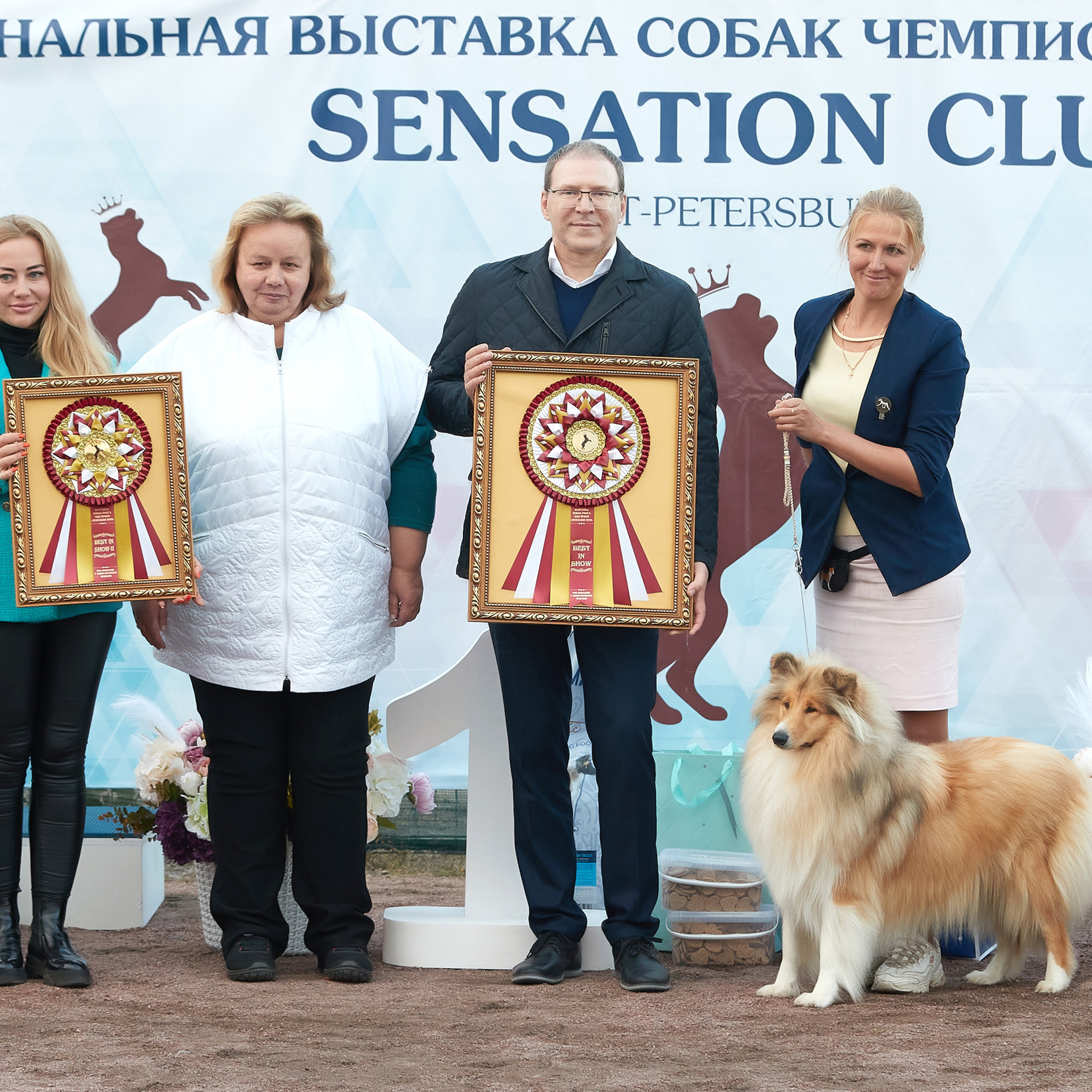 18.09.22 ВЫСТАВКА СОБАК ВСЕХ ПОРОД (CAC, ЧФ) «СЕНСАЦИЯ-2022». Кинологический клуб РКФ РФСС СЕНСАЦИЯ