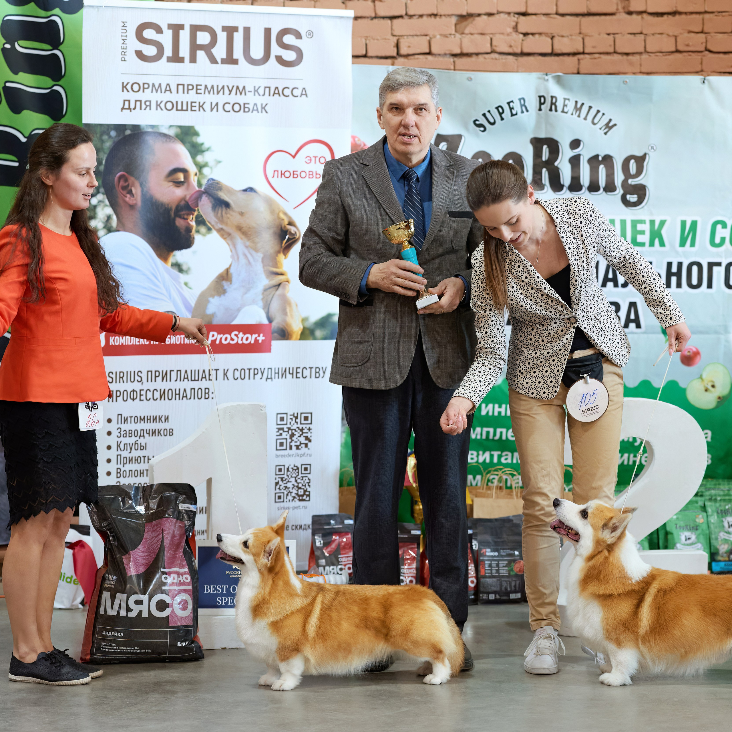 21.03.2026 СПб РОО РУССКИЙ СТИЛЬ. ВЫСТАВКА СОБАК ВСЕХ ПОРОД (САС, ЧФ). Кинологический клуб РКФ РФСС СЕНСАЦИЯ