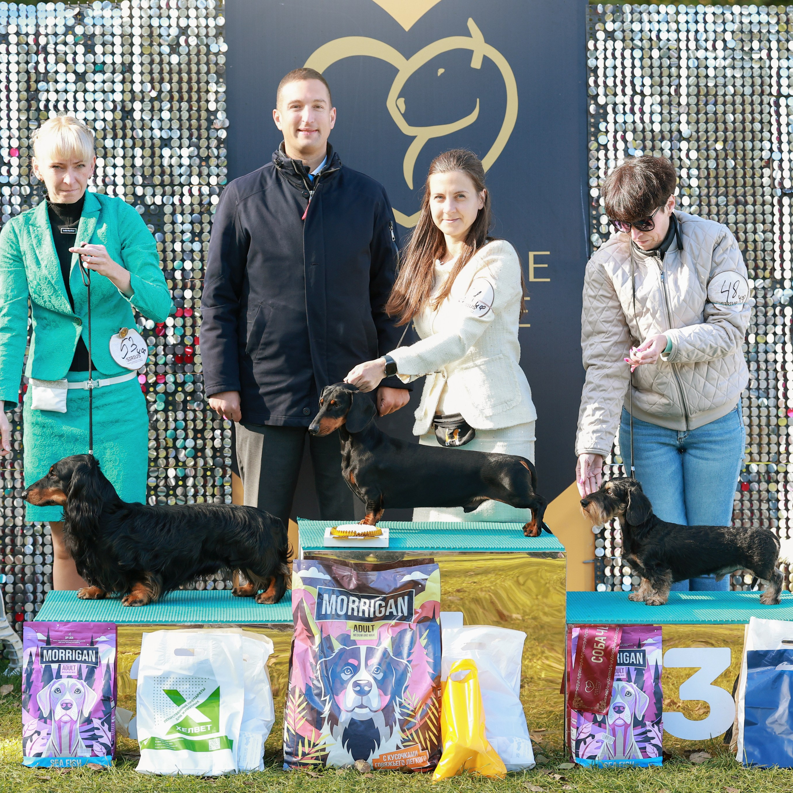 27-28.09.2025 ВЫСТАВКИ СОБАК ВСЕХ ПОРОД (САС, ЧРКФ, ЧФ). Кинологический клуб РКФ РФСС СЕНСАЦИЯ