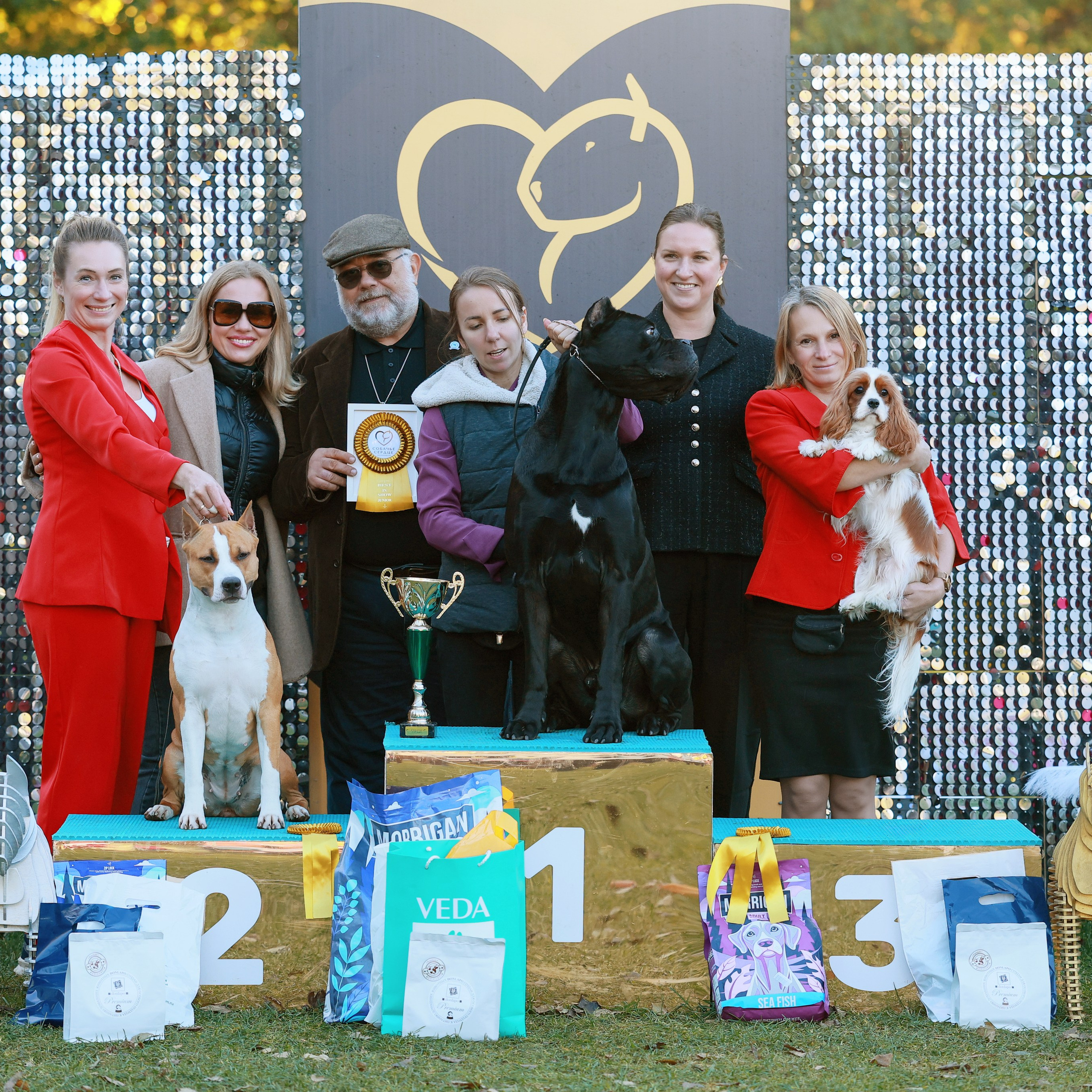 27-28.09.2025 ВЫСТАВКИ СОБАК ВСЕХ ПОРОД (САС, ЧРКФ, ЧФ). Кинологический клуб РКФ РФСС СЕНСАЦИЯ