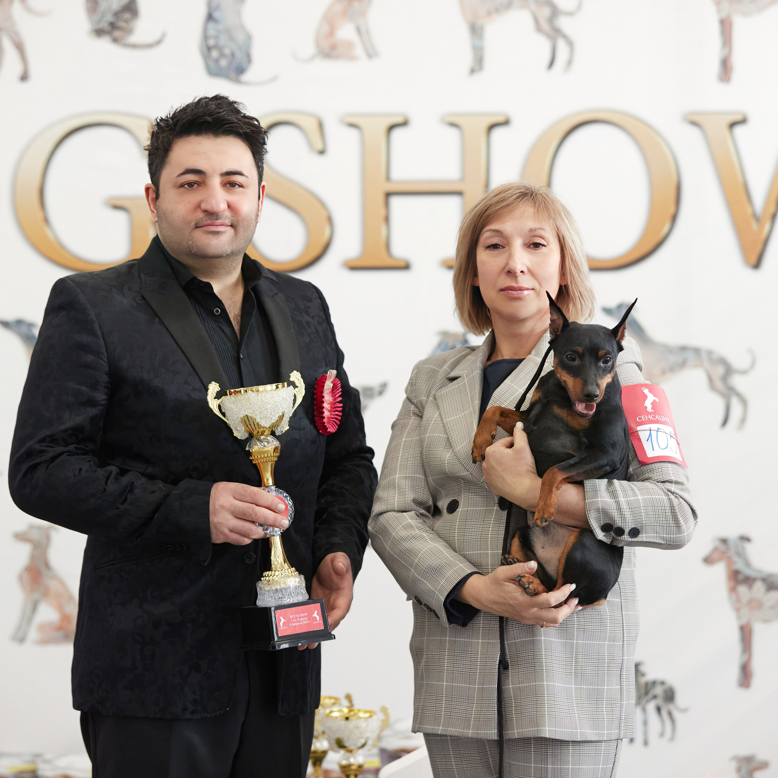 10-11.02.2024 ВЫСТАВКА СОБАК ВСЕХ ПОРОД (САС, ЧФ). Кинологический клуб РКФ РФСС СЕНСАЦИЯ