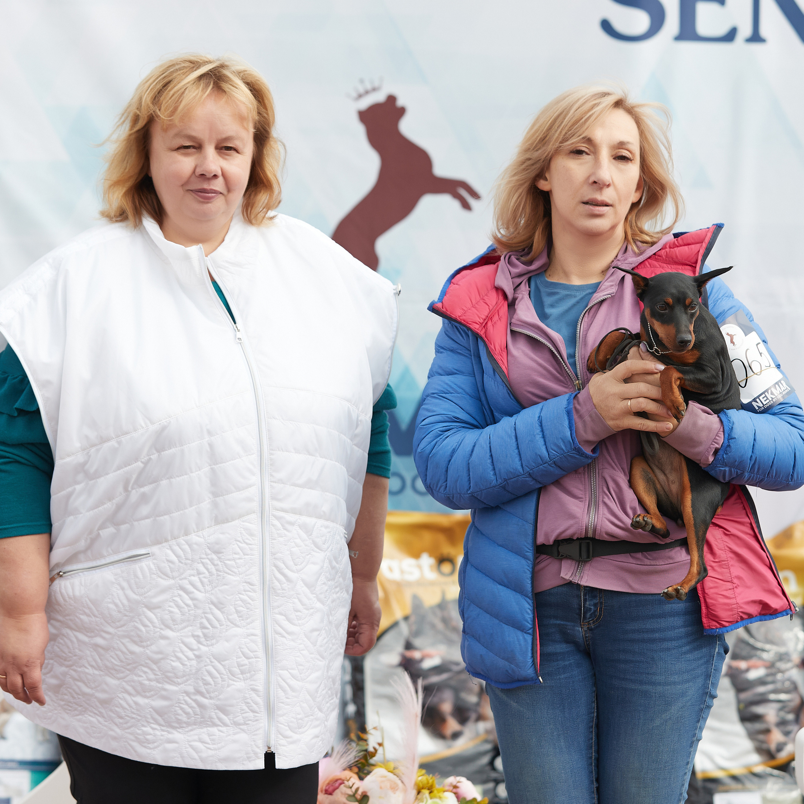 18.09.22 ВЫСТАВКА СОБАК ВСЕХ ПОРОД (CAC, ЧФ) «СЕНСАЦИЯ-2022». Кинологический клуб РКФ РФСС СЕНСАЦИЯ