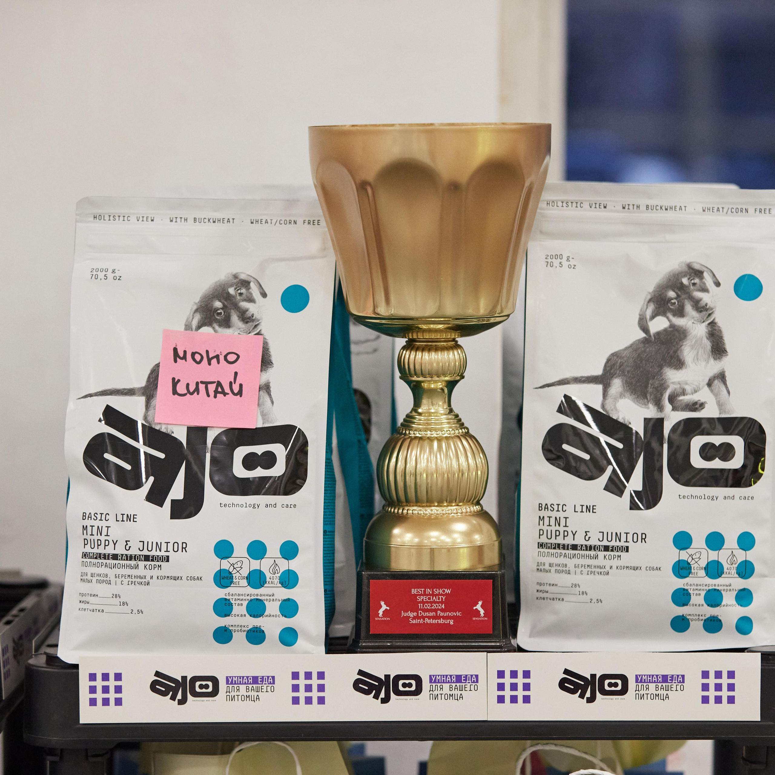 10-11.02.2024 ВЫСТАВКА СОБАК ВСЕХ ПОРОД (САС, ЧФ). Кинологический клуб РКФ РФСС СЕНСАЦИЯ