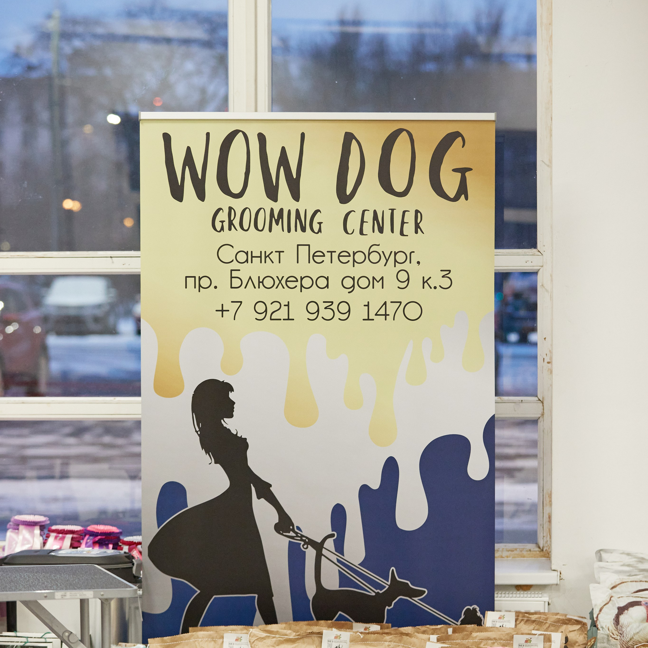 10-11.02.2024 ВЫСТАВКА СОБАК ВСЕХ ПОРОД (САС, ЧФ). Кинологический клуб РКФ РФСС СЕНСАЦИЯ