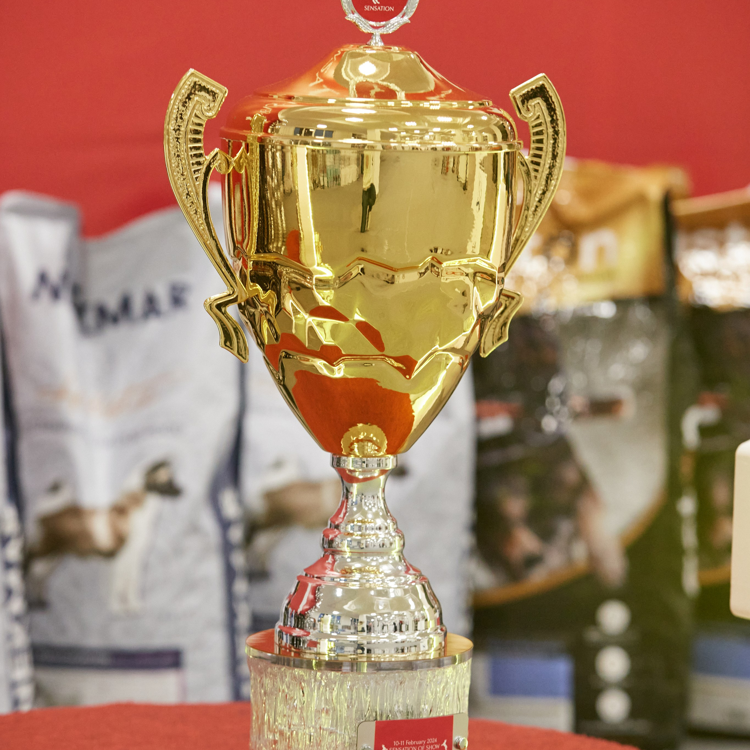 10-11.02.2024 ВЫСТАВКА СОБАК ВСЕХ ПОРОД (САС, ЧФ). Кинологический клуб РКФ РФСС СЕНСАЦИЯ