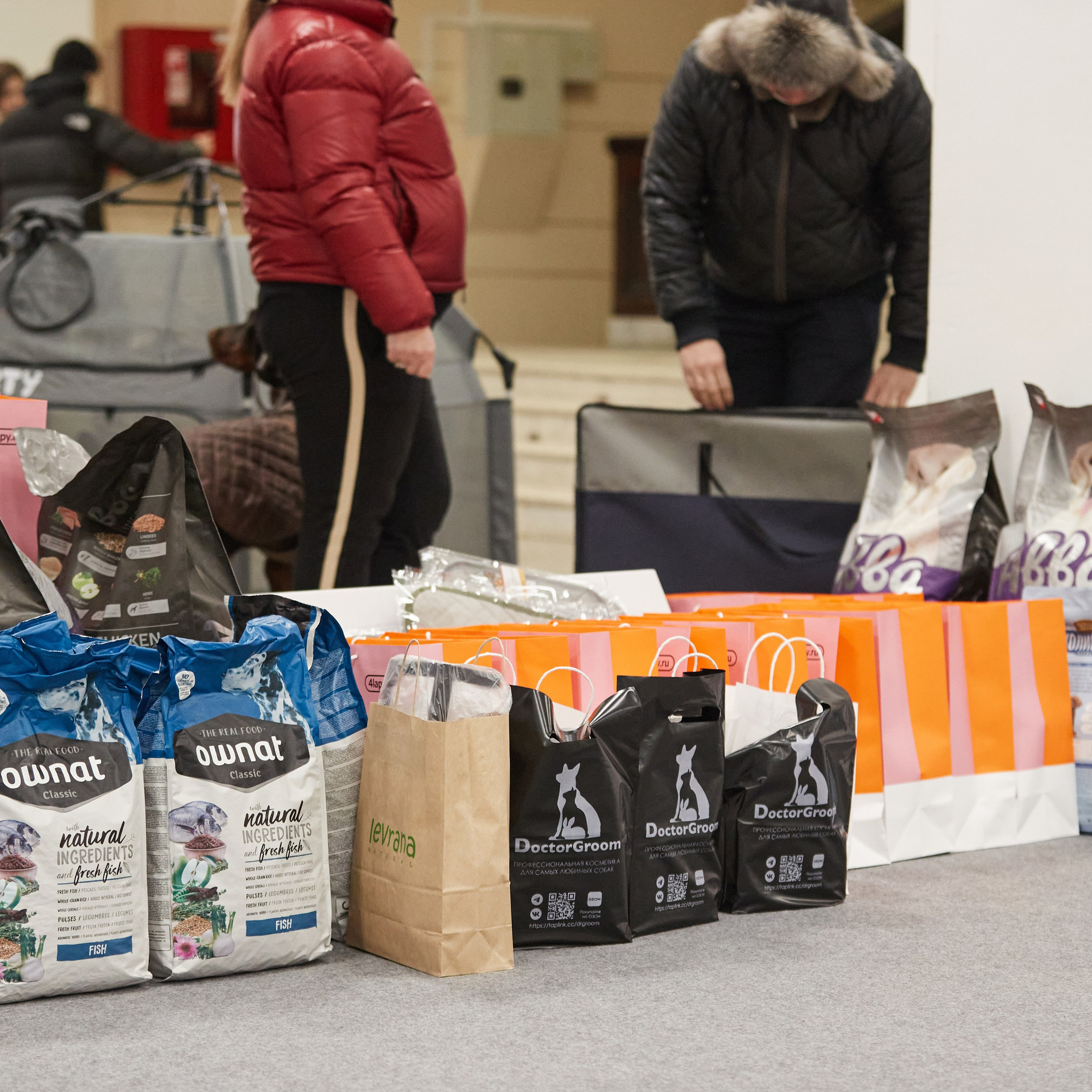 10-11.02.2024 ВЫСТАВКА СОБАК ВСЕХ ПОРОД (САС, ЧФ). Кинологический клуб РКФ РФСС СЕНСАЦИЯ