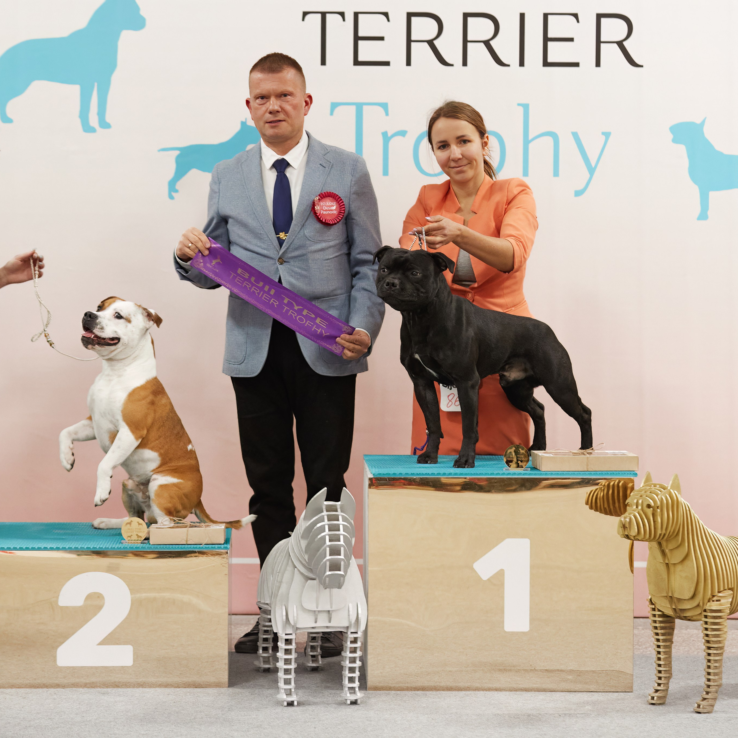 10-11.02.2024 ВЫСТАВКА СОБАК ВСЕХ ПОРОД (САС, ЧФ). Кинологический клуб РКФ РФСС СЕНСАЦИЯ