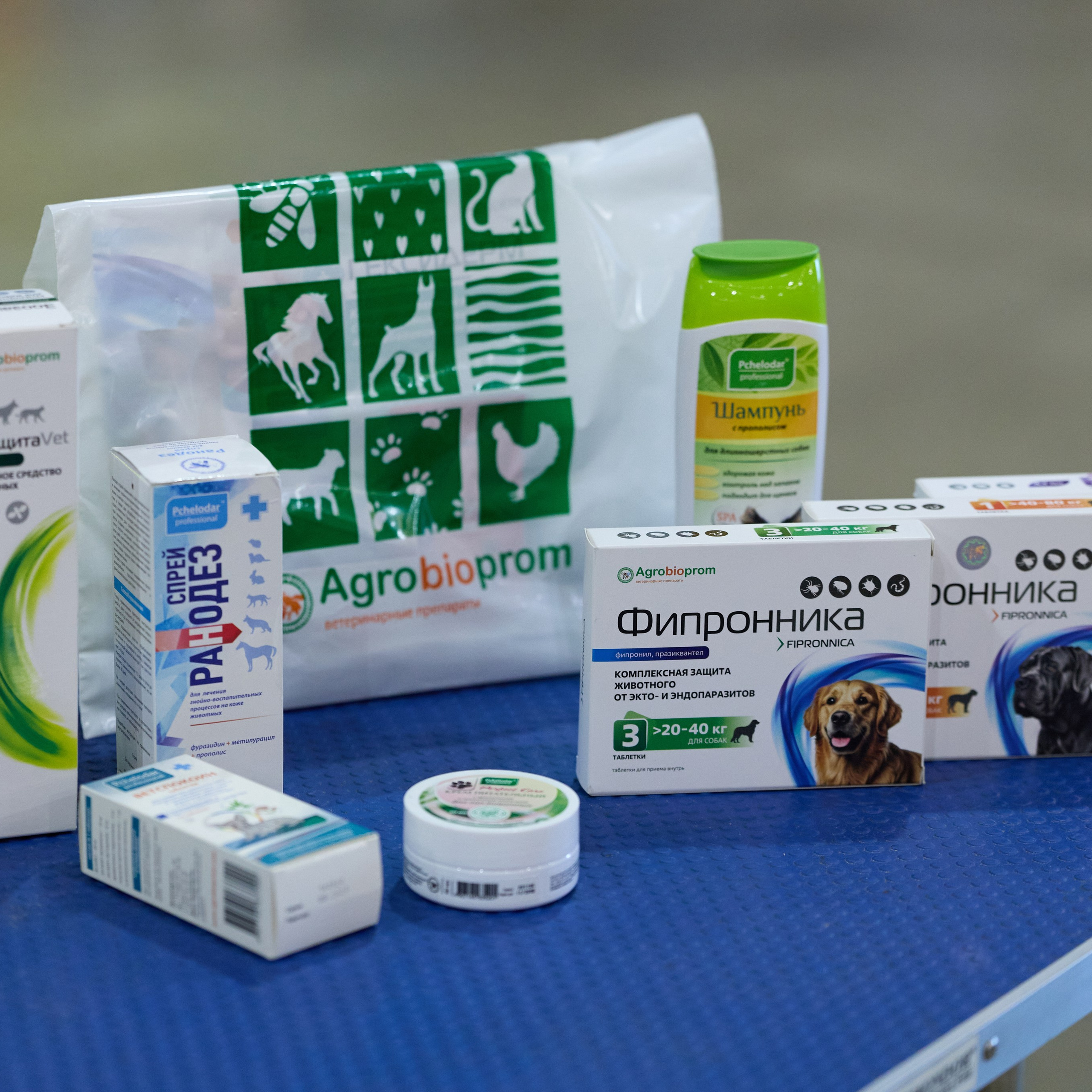 21.03.2026 СПб РОО РУССКИЙ СТИЛЬ. ВЫСТАВКА СОБАК ВСЕХ ПОРОД (САС, ЧФ). Кинологический клуб РКФ РФСС СЕНСАЦИЯ