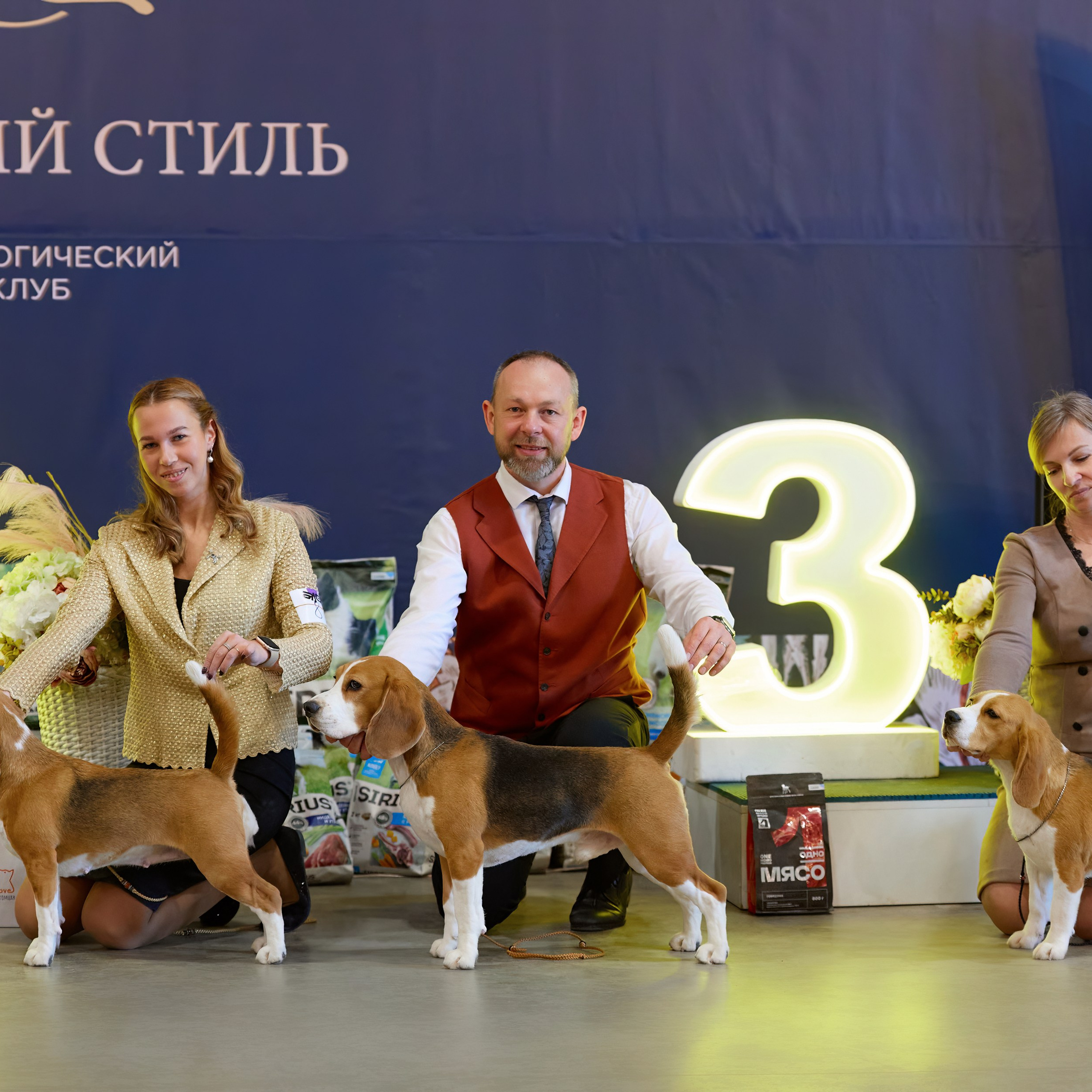 21.03.2026 СПб РОО РУССКИЙ СТИЛЬ. ВЫСТАВКА СОБАК ВСЕХ ПОРОД (САС, ЧФ). Кинологический клуб РКФ РФСС СЕНСАЦИЯ