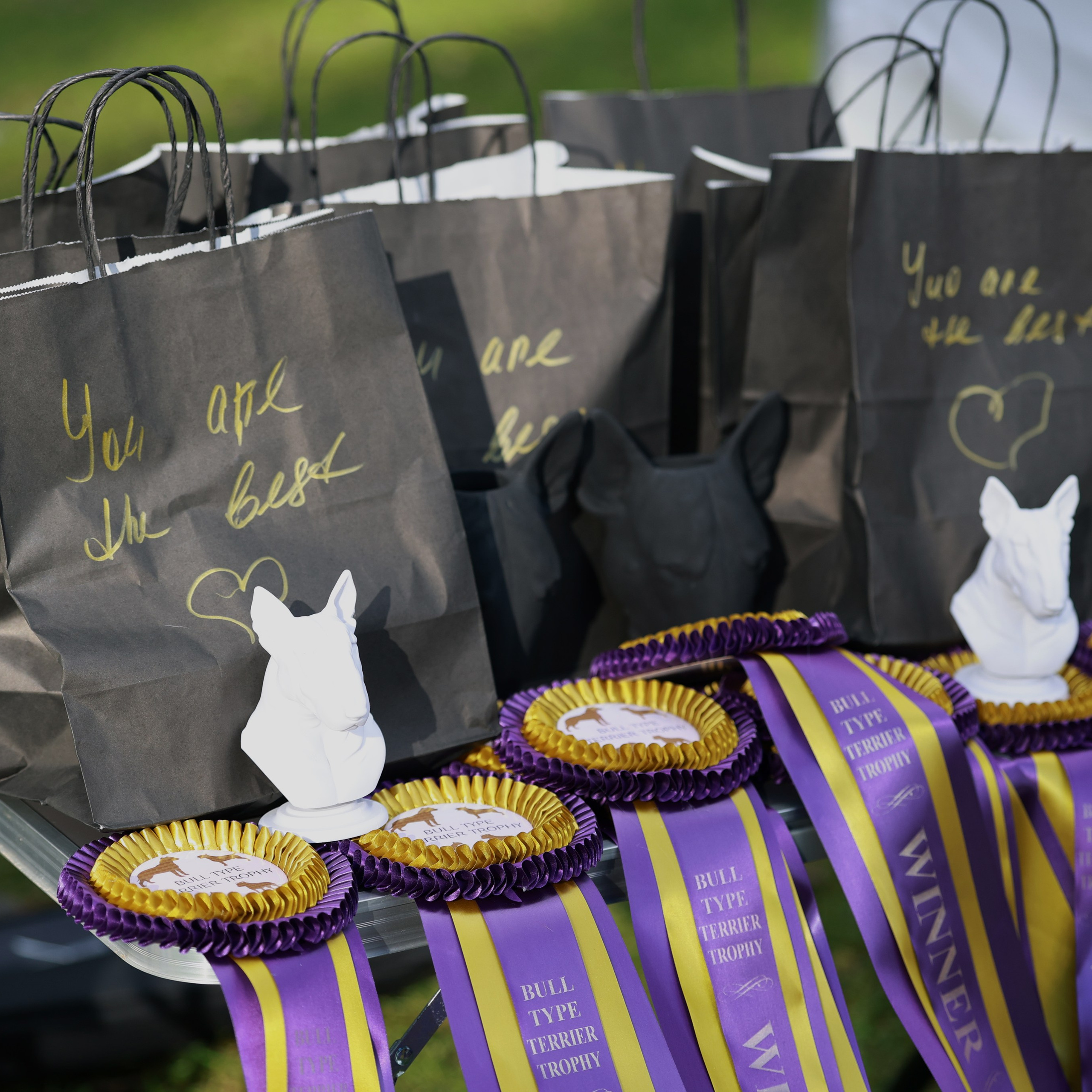 27-28.09.2025 ВЫСТАВКИ СОБАК ВСЕХ ПОРОД (САС, ЧРКФ, ЧФ). Кинологический клуб РКФ РФСС СЕНСАЦИЯ