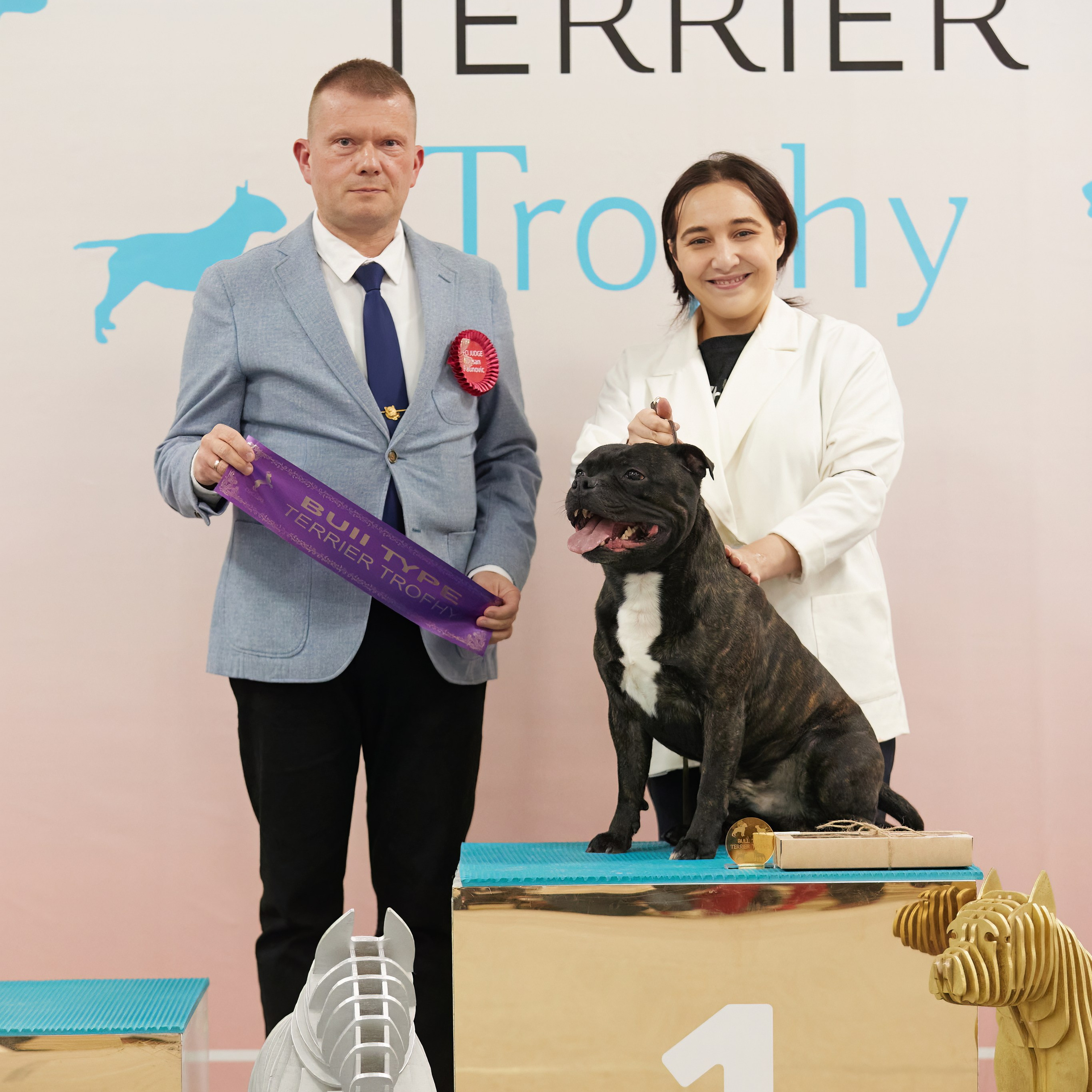 10-11.02.2024 ВЫСТАВКА СОБАК ВСЕХ ПОРОД (САС, ЧФ). Кинологический клуб РКФ РФСС СЕНСАЦИЯ