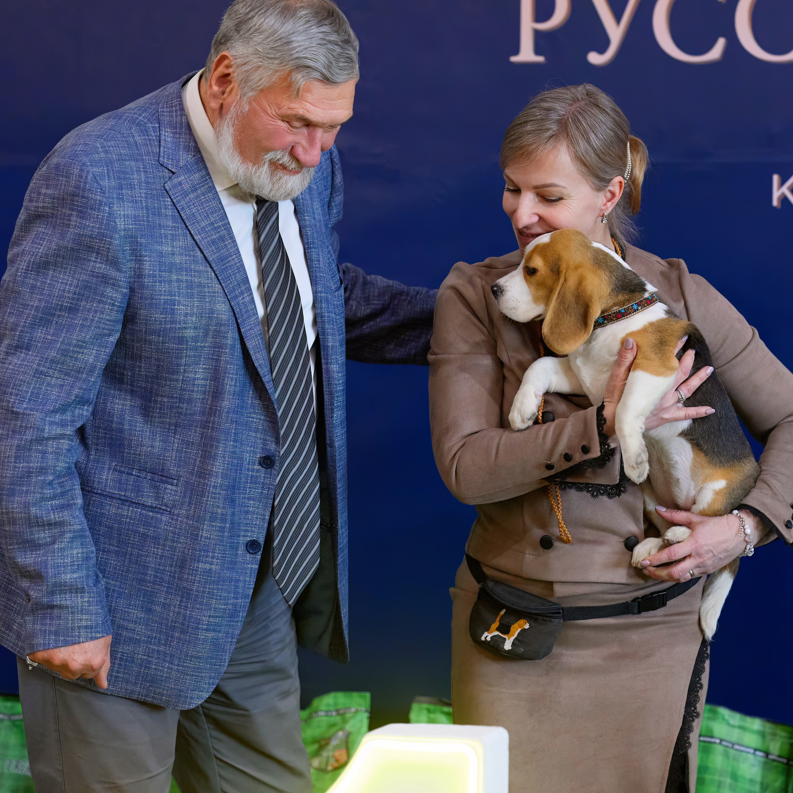21.03.2026 СПб РОО РУССКИЙ СТИЛЬ. ВЫСТАВКА СОБАК ВСЕХ ПОРОД (САС, ЧФ). Кинологический клуб РКФ РФСС СЕНСАЦИЯ