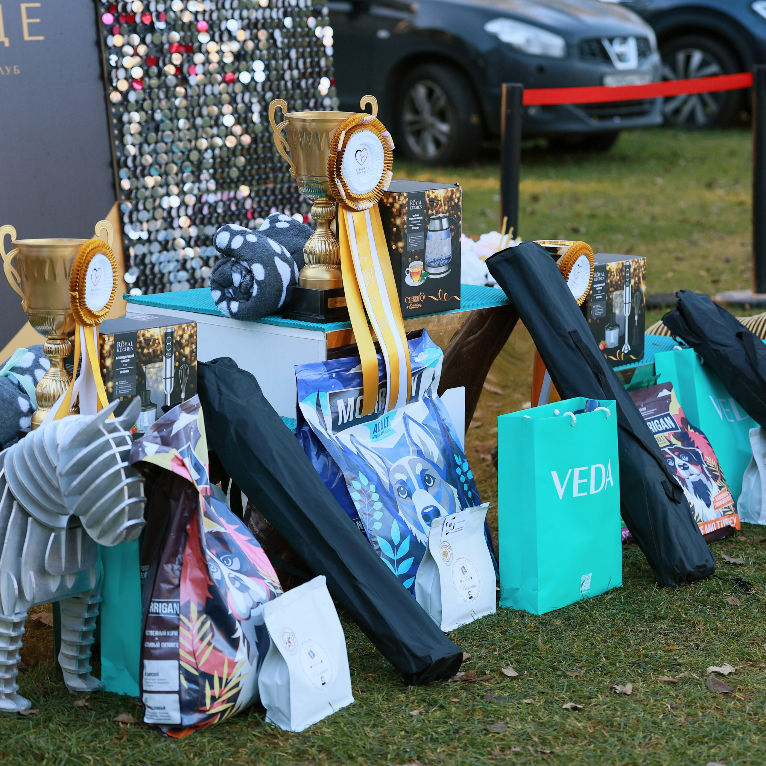 27-28.09.2025 ВЫСТАВКИ СОБАК ВСЕХ ПОРОД (САС, ЧРКФ, ЧФ). Кинологический клуб РКФ РФСС СЕНСАЦИЯ