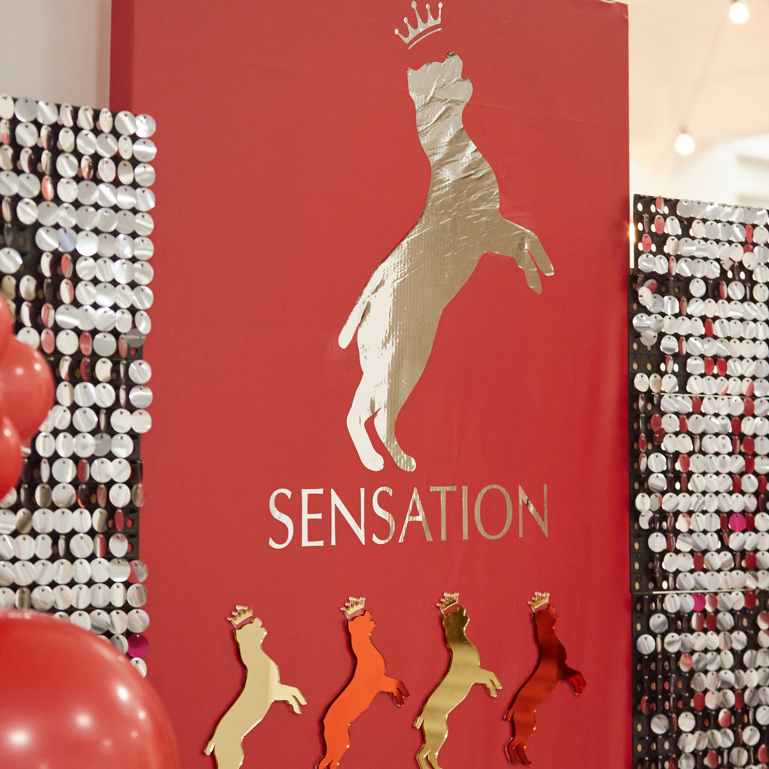 10-11.02.2024 ВЫСТАВКА СОБАК ВСЕХ ПОРОД (САС, ЧФ). Кинологический клуб РКФ РФСС СЕНСАЦИЯ