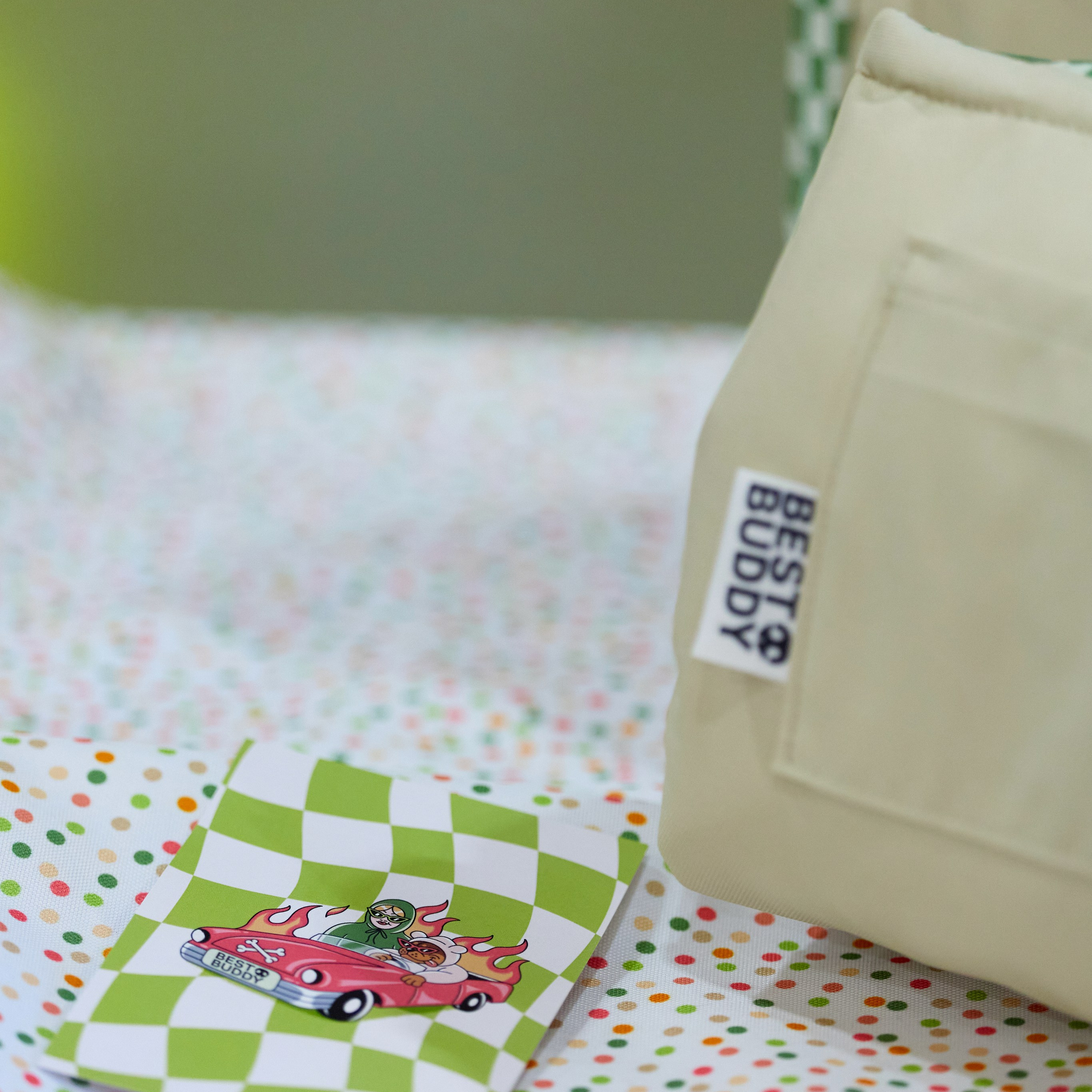 21.03.2026 СПб РОО РУССКИЙ СТИЛЬ. ВЫСТАВКА СОБАК ВСЕХ ПОРОД (САС, ЧФ). Кинологический клуб РКФ РФСС СЕНСАЦИЯ