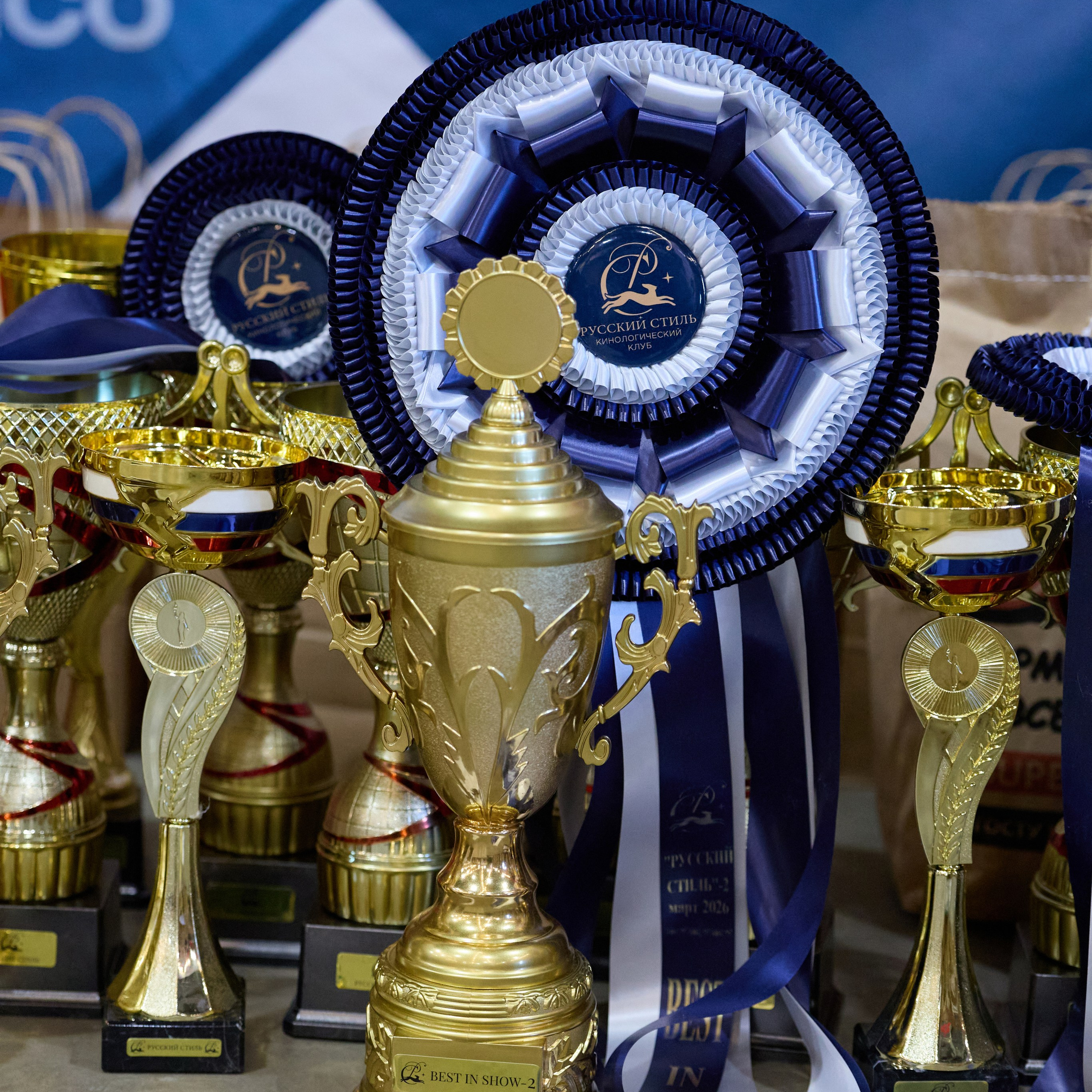21.03.2026 СПб РОО РУССКИЙ СТИЛЬ. ВЫСТАВКА СОБАК ВСЕХ ПОРОД (САС, ЧФ). Кинологический клуб РКФ РФСС СЕНСАЦИЯ