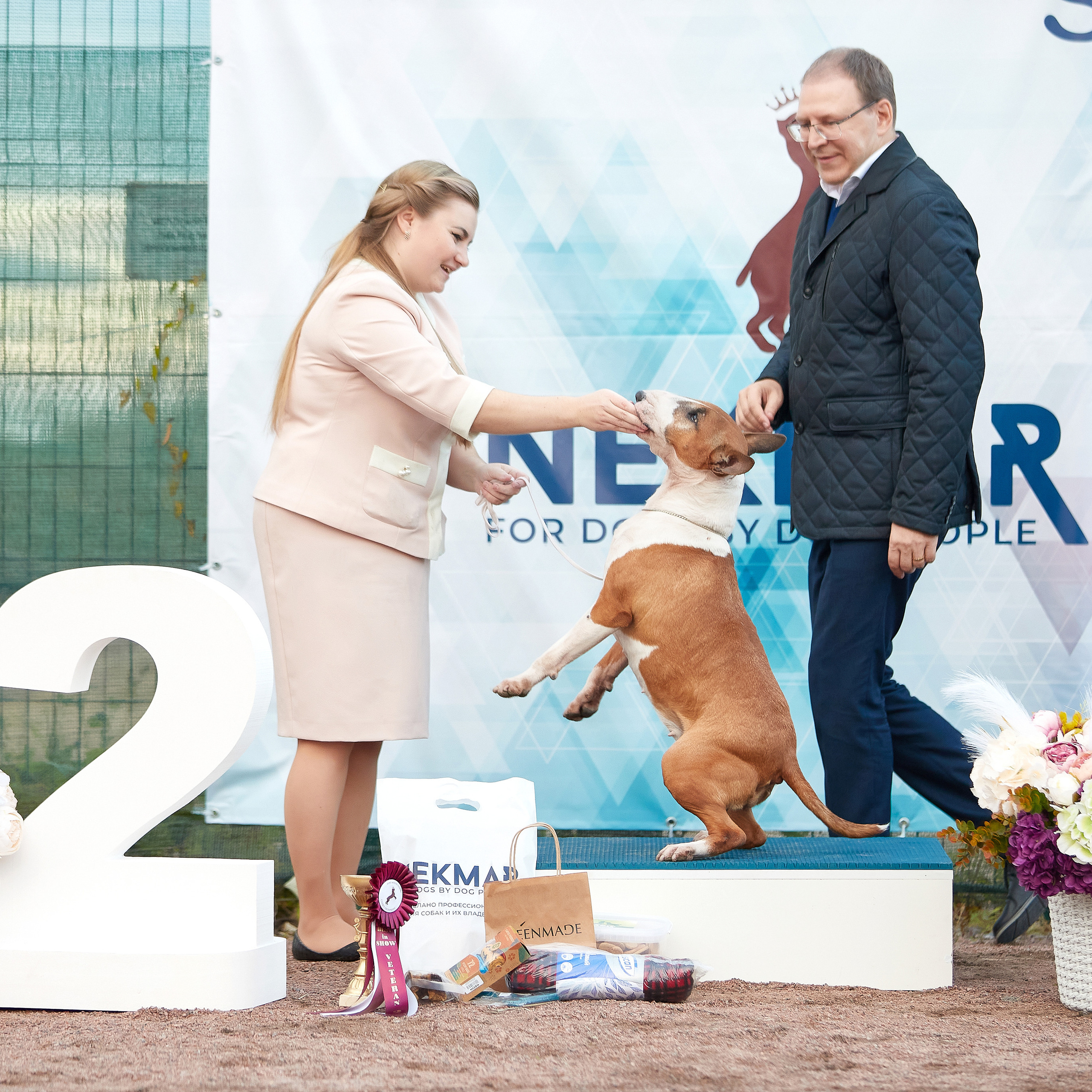 18.09.22 ВЫСТАВКА СОБАК ВСЕХ ПОРОД (CAC, ЧФ) «СЕНСАЦИЯ-2022». Кинологический клуб РКФ РФСС СЕНСАЦИЯ