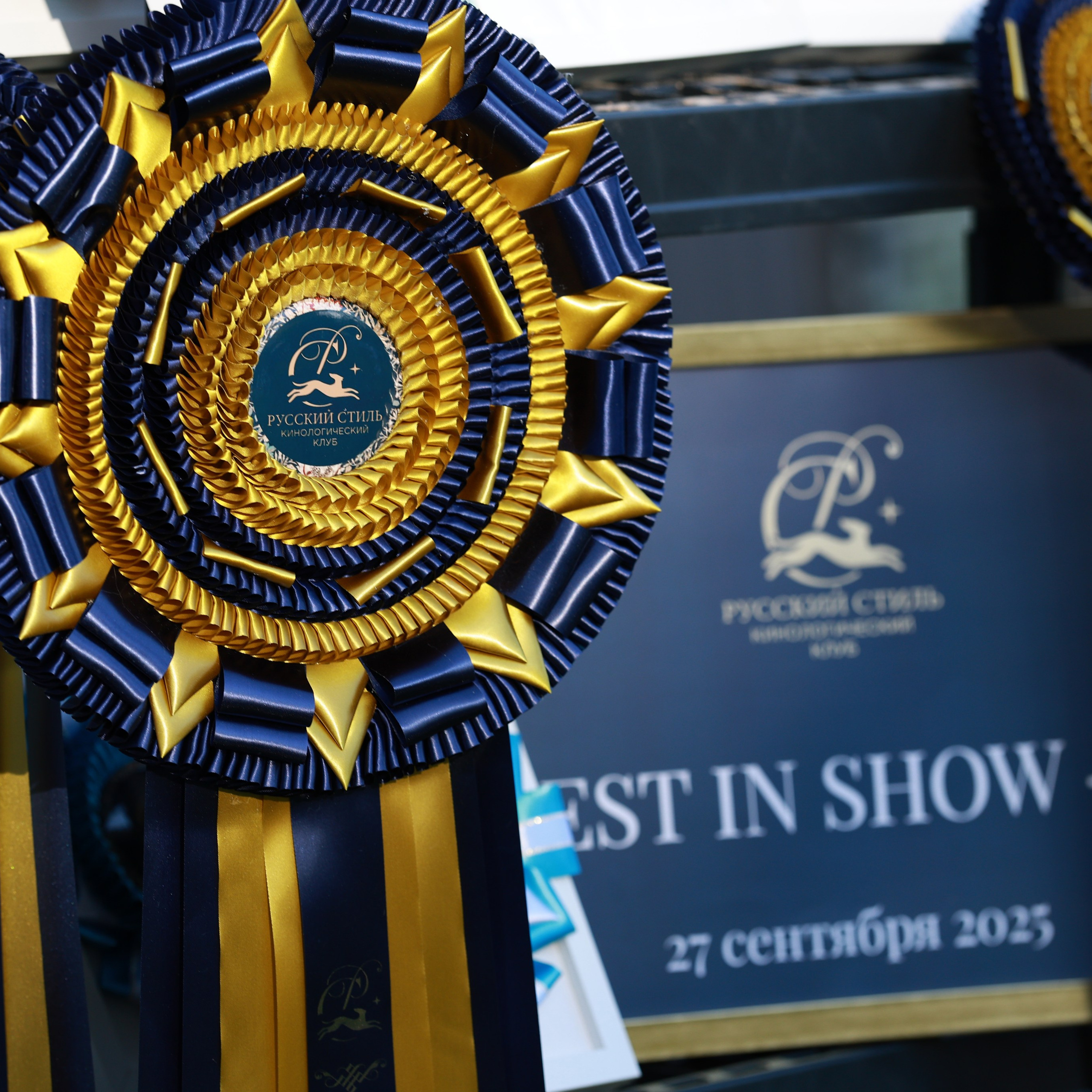 27-28.09.2025 ВЫСТАВКИ СОБАК ВСЕХ ПОРОД (САС, ЧРКФ, ЧФ). Кинологический клуб РКФ РФСС СЕНСАЦИЯ