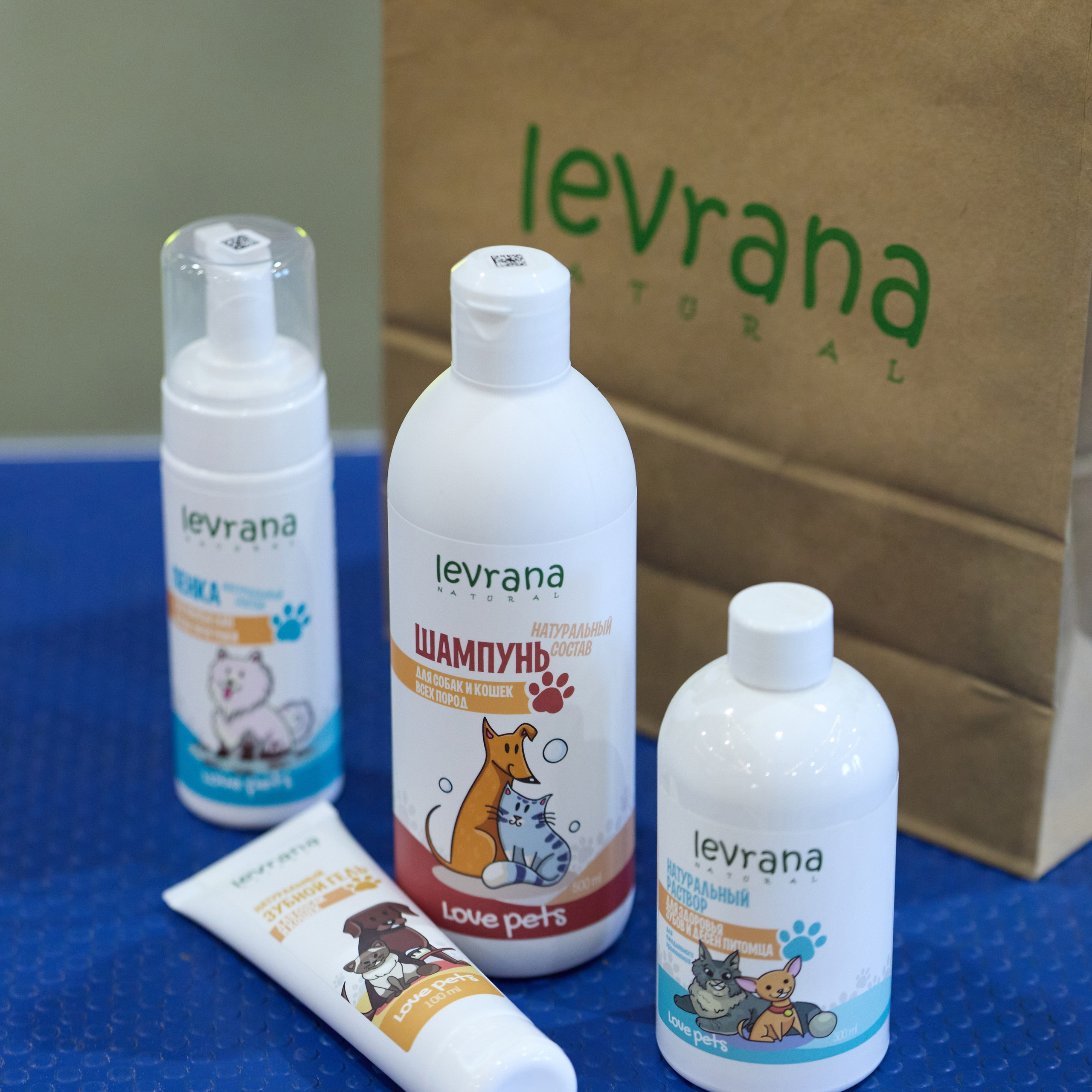 21.03.2026 СПб РОО РУССКИЙ СТИЛЬ. ВЫСТАВКА СОБАК ВСЕХ ПОРОД (САС, ЧФ). Кинологический клуб РКФ РФСС СЕНСАЦИЯ