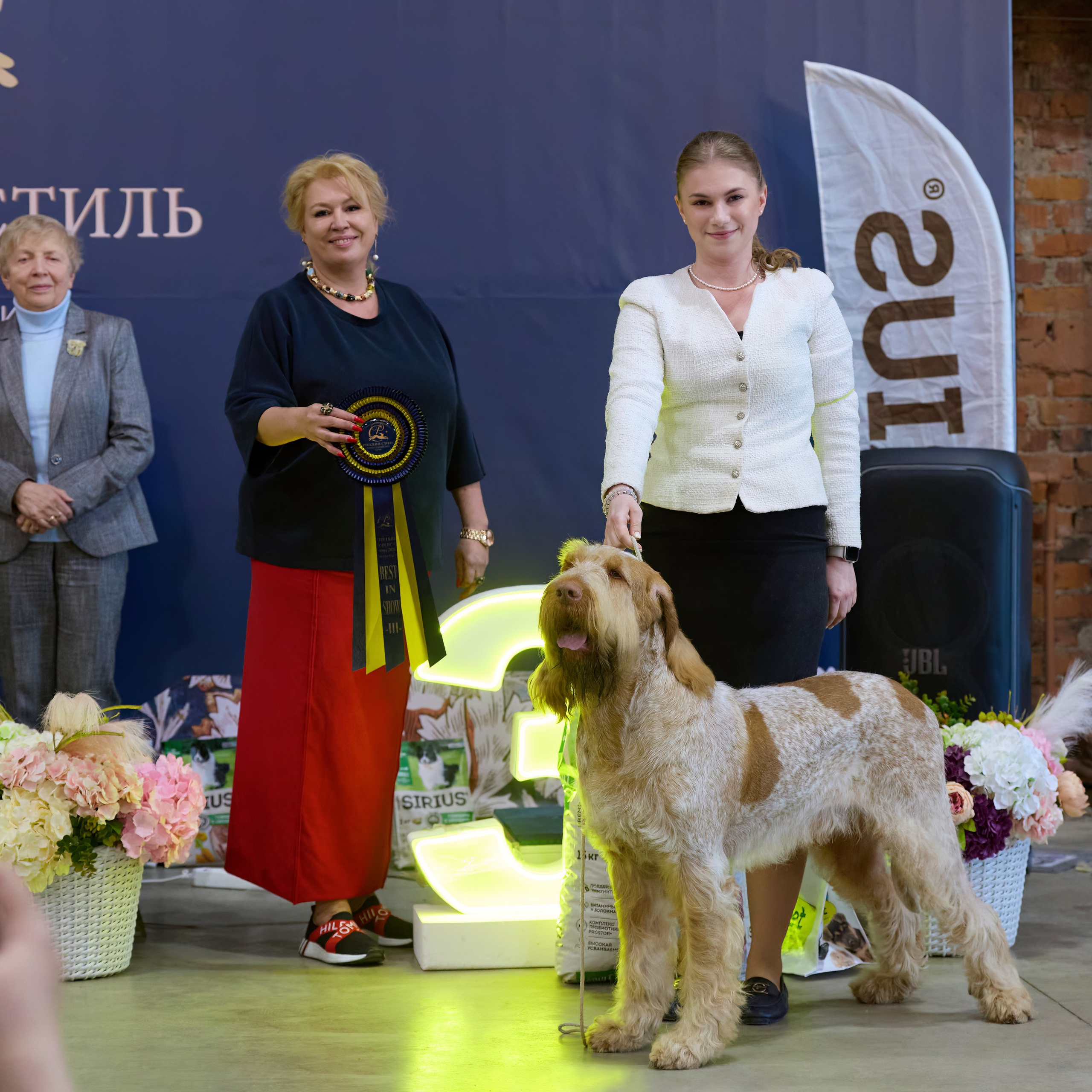 21.03.2026 СПб РОО РУССКИЙ СТИЛЬ. ВЫСТАВКА СОБАК ВСЕХ ПОРОД (САС, ЧФ). Кинологический клуб РКФ РФСС СЕНСАЦИЯ