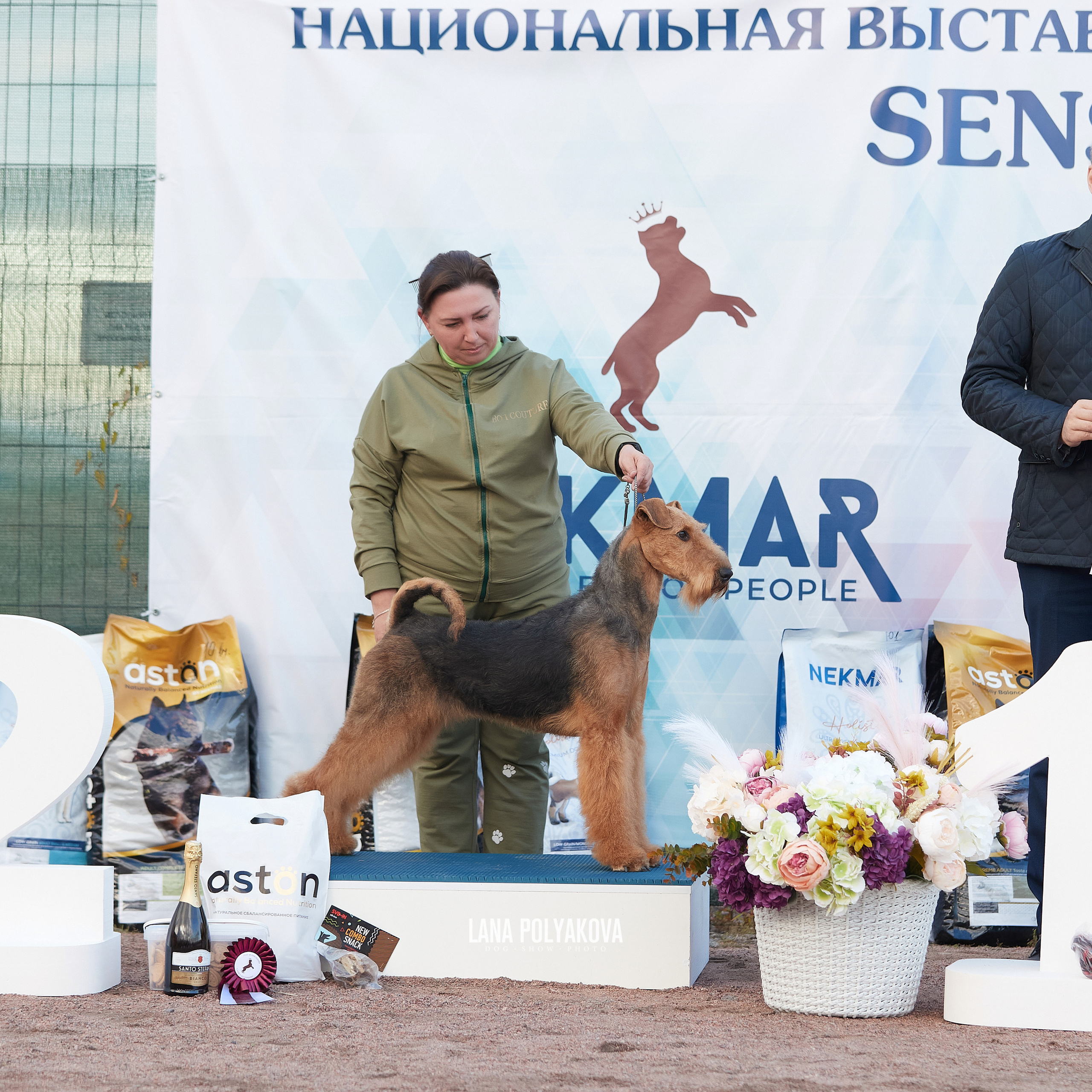 18.09.22 ВЫСТАВКА СОБАК ВСЕХ ПОРОД (CAC, ЧФ) «СЕНСАЦИЯ-2022». Кинологический клуб РКФ РФСС СЕНСАЦИЯ
