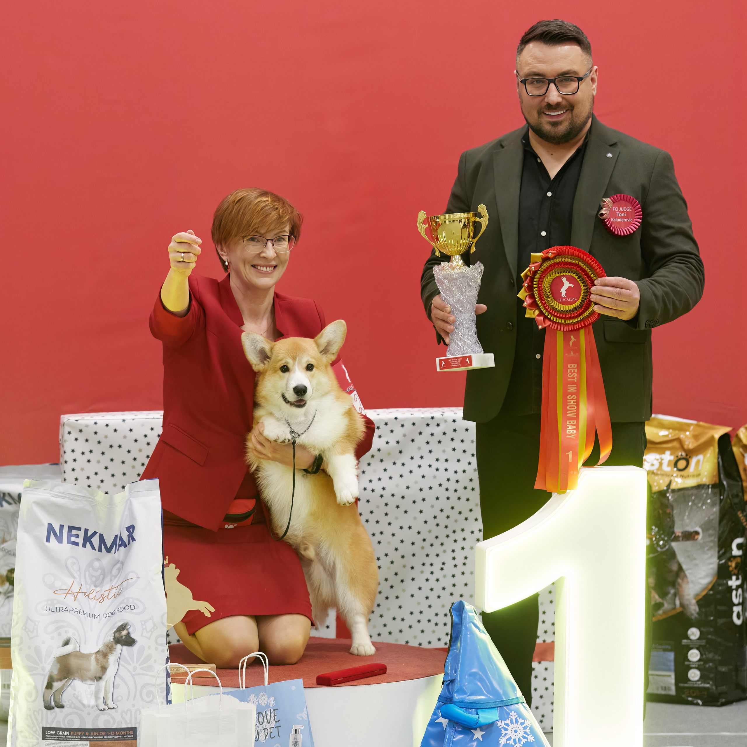 10-11.02.2024 ВЫСТАВКА СОБАК ВСЕХ ПОРОД (САС, ЧФ). Кинологический клуб РКФ РФСС СЕНСАЦИЯ