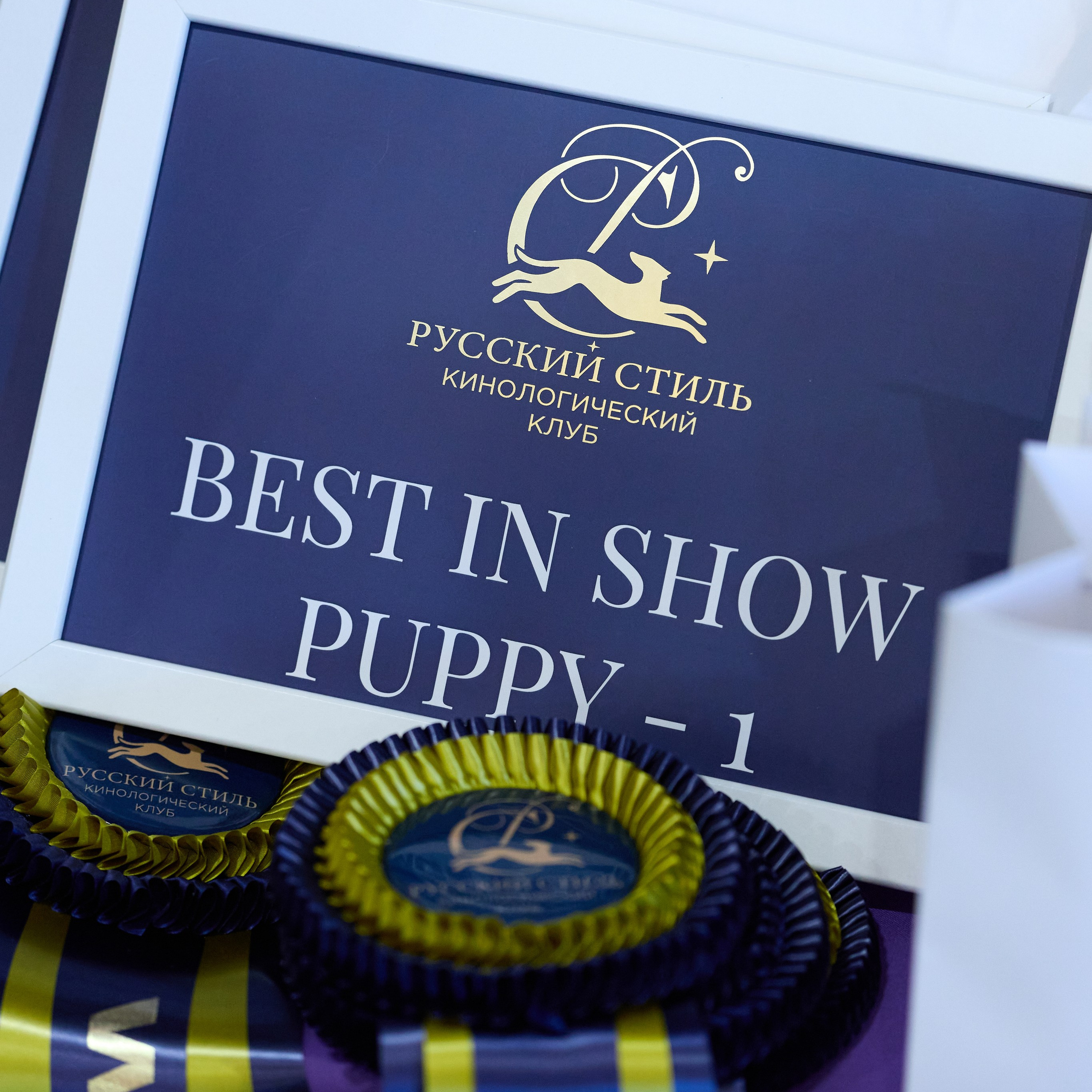 21.03.2026 СПб РОО РУССКИЙ СТИЛЬ. ВЫСТАВКА СОБАК ВСЕХ ПОРОД (САС, ЧФ). Кинологический клуб РКФ РФСС СЕНСАЦИЯ