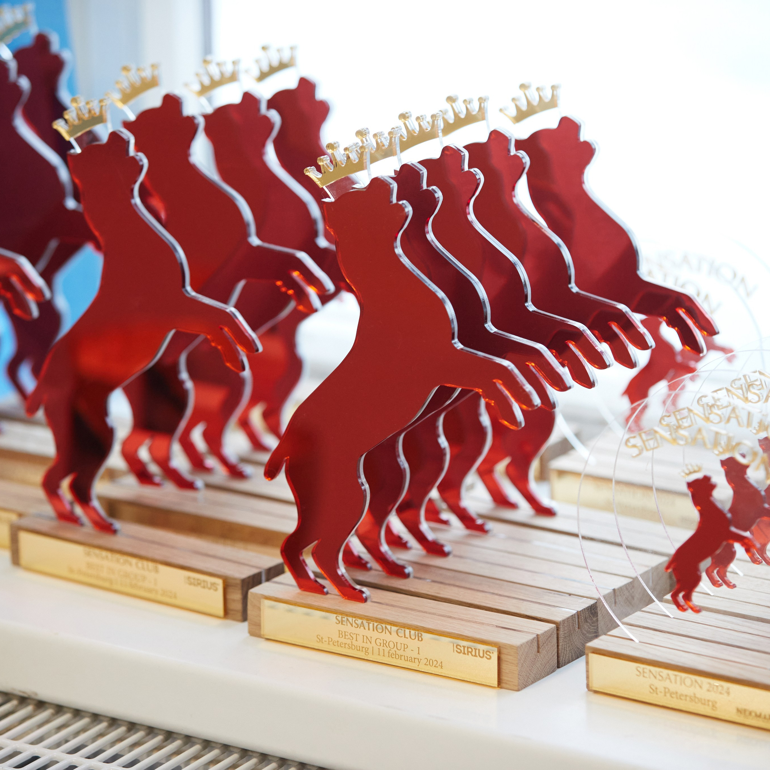 10-11.02.2024 ВЫСТАВКА СОБАК ВСЕХ ПОРОД (САС, ЧФ). Кинологический клуб РКФ РФСС СЕНСАЦИЯ