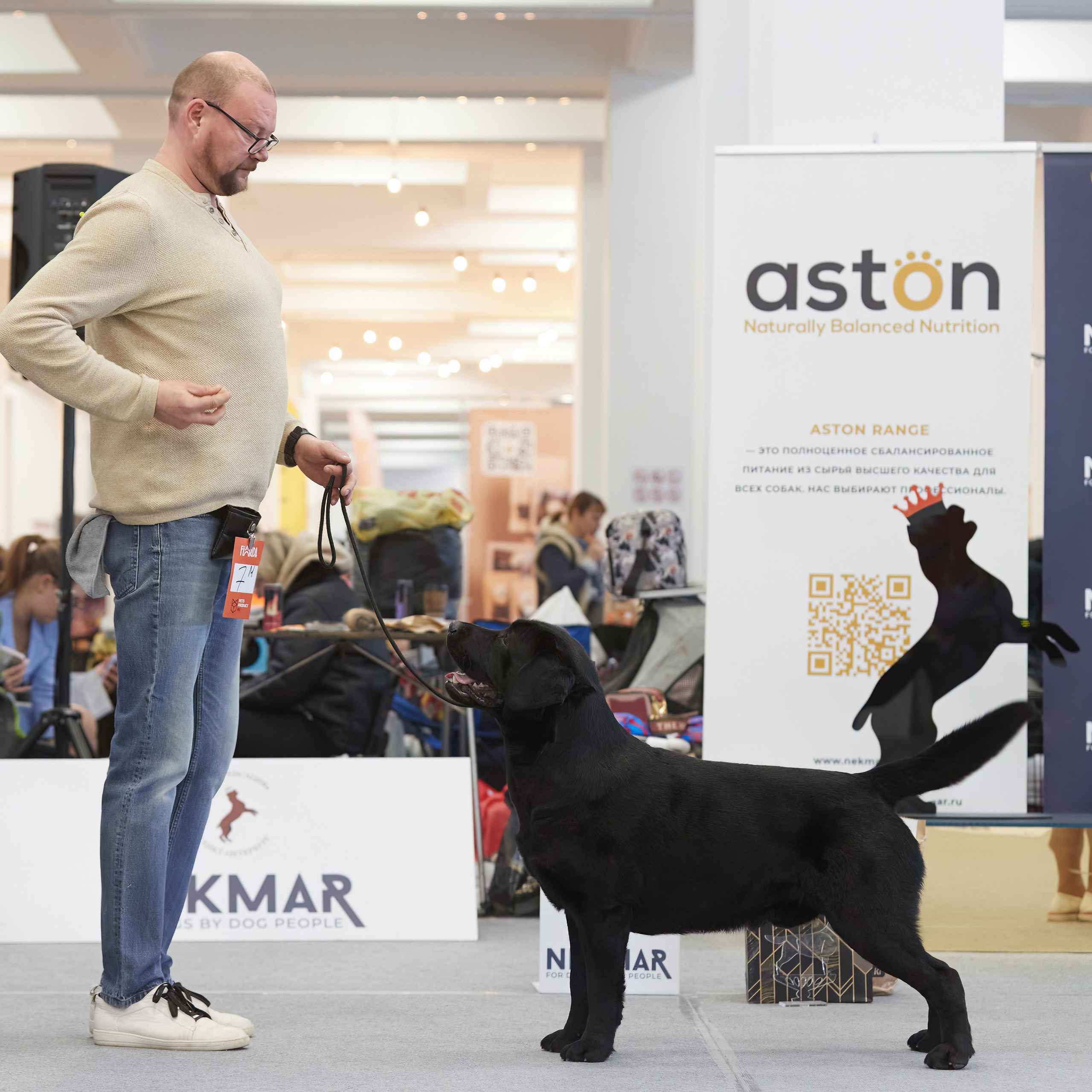 10-11.02.2024 ВЫСТАВКА СОБАК ВСЕХ ПОРОД (САС, ЧФ). Кинологический клуб РКФ РФСС СЕНСАЦИЯ