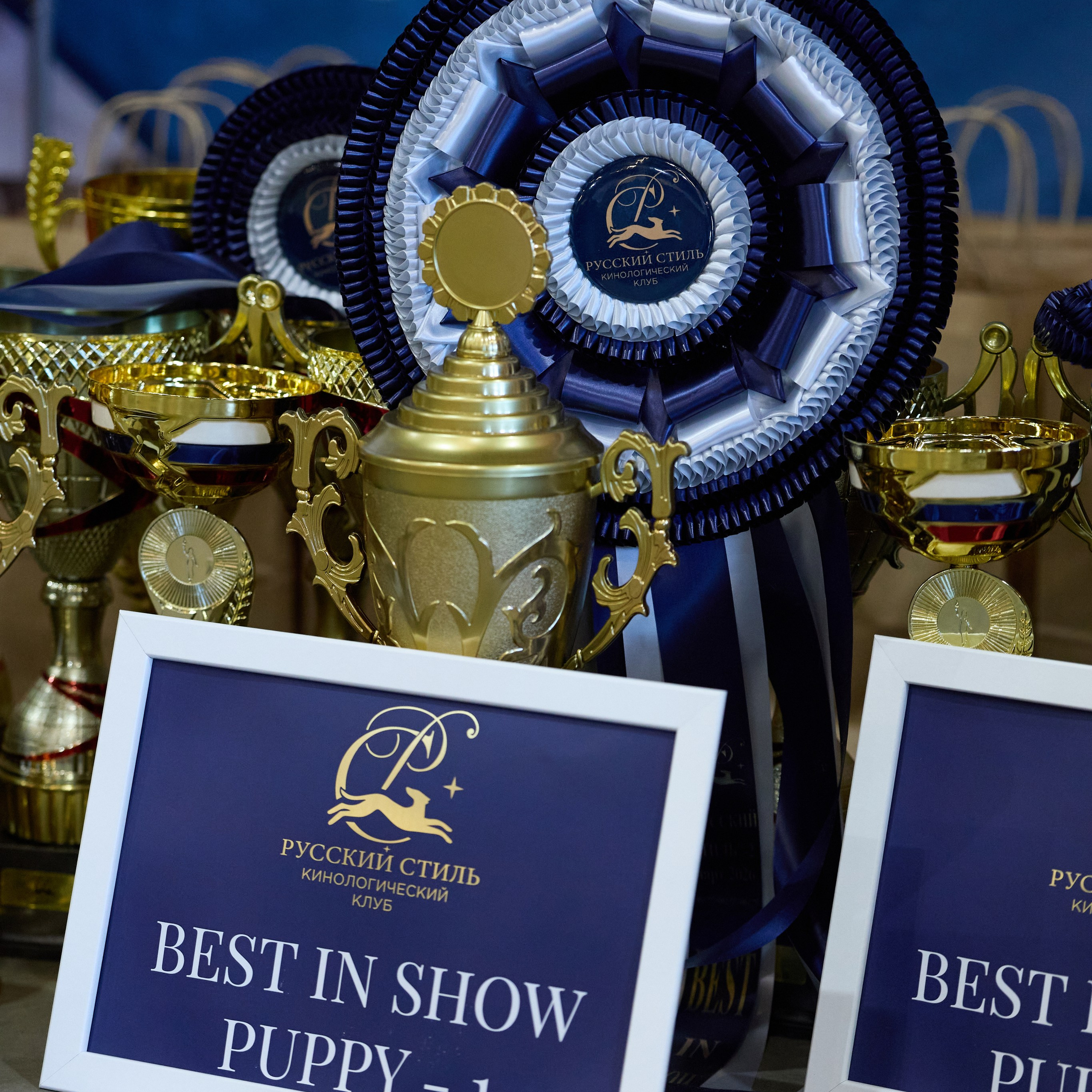 21.03.2026 СПб РОО РУССКИЙ СТИЛЬ. ВЫСТАВКА СОБАК ВСЕХ ПОРОД (САС, ЧФ). Кинологический клуб РКФ РФСС СЕНСАЦИЯ