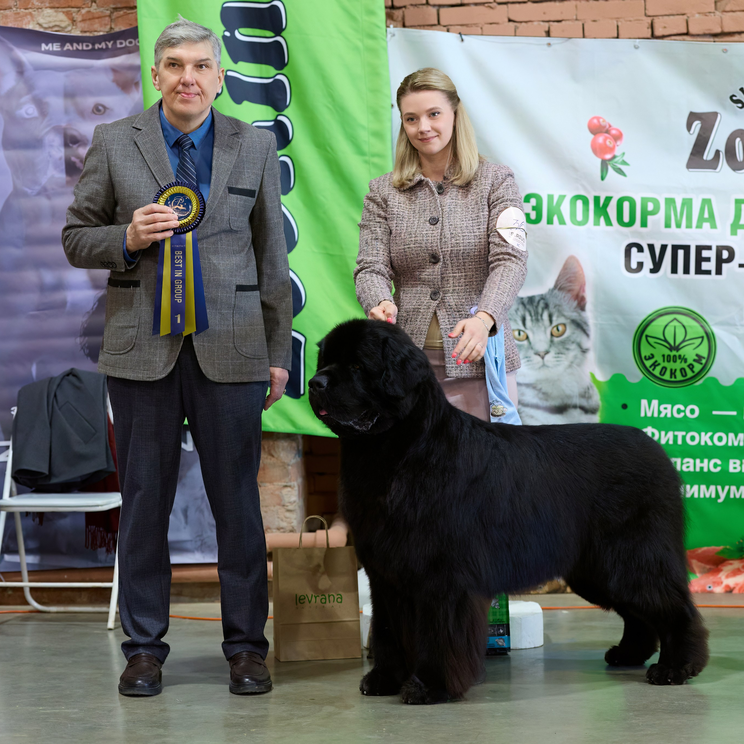 21.03.2026 СПб РОО РУССКИЙ СТИЛЬ. ВЫСТАВКА СОБАК ВСЕХ ПОРОД (САС, ЧФ). Кинологический клуб РКФ РФСС СЕНСАЦИЯ
