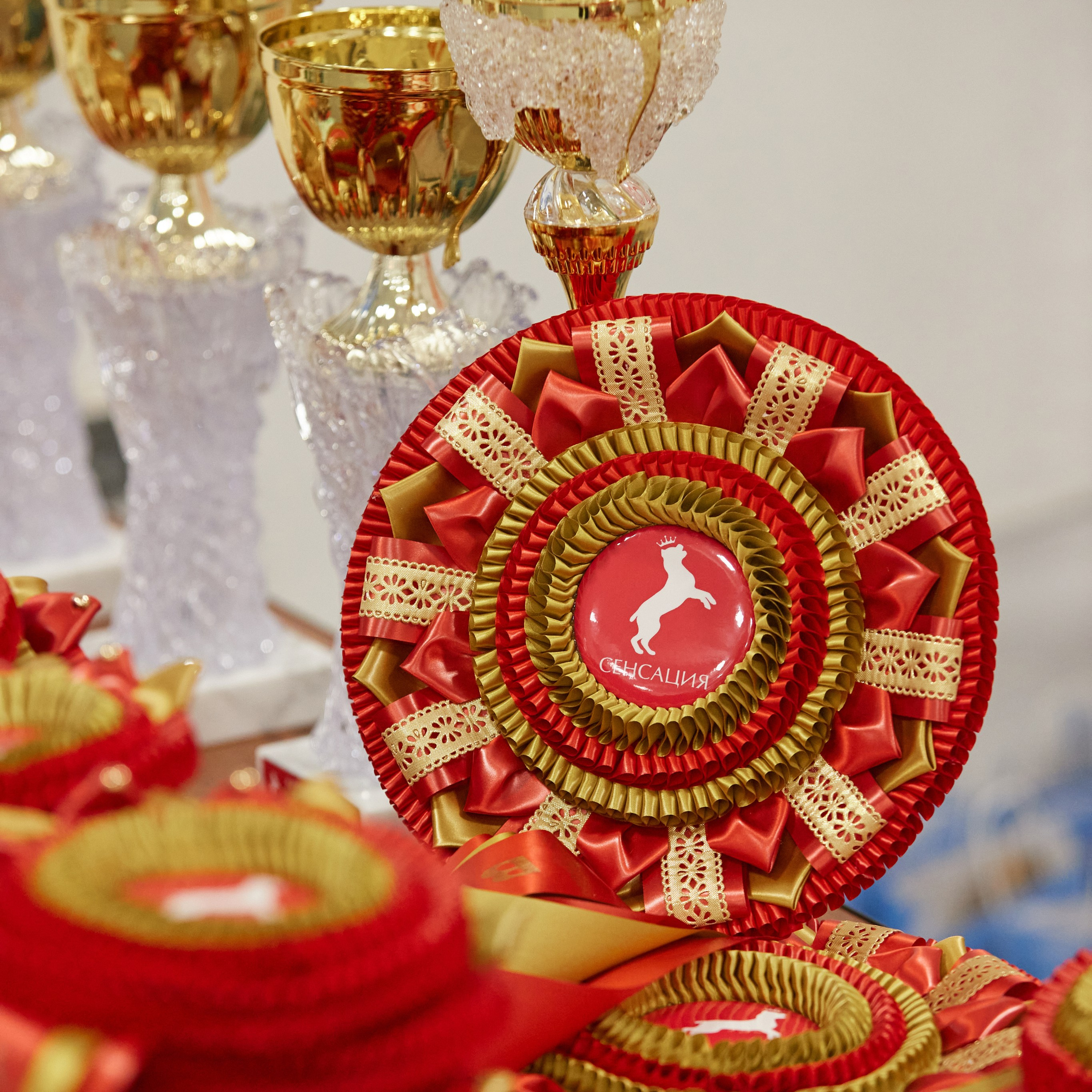 10-11.02.2024 ВЫСТАВКА СОБАК ВСЕХ ПОРОД (САС, ЧФ). Кинологический клуб РКФ РФСС СЕНСАЦИЯ