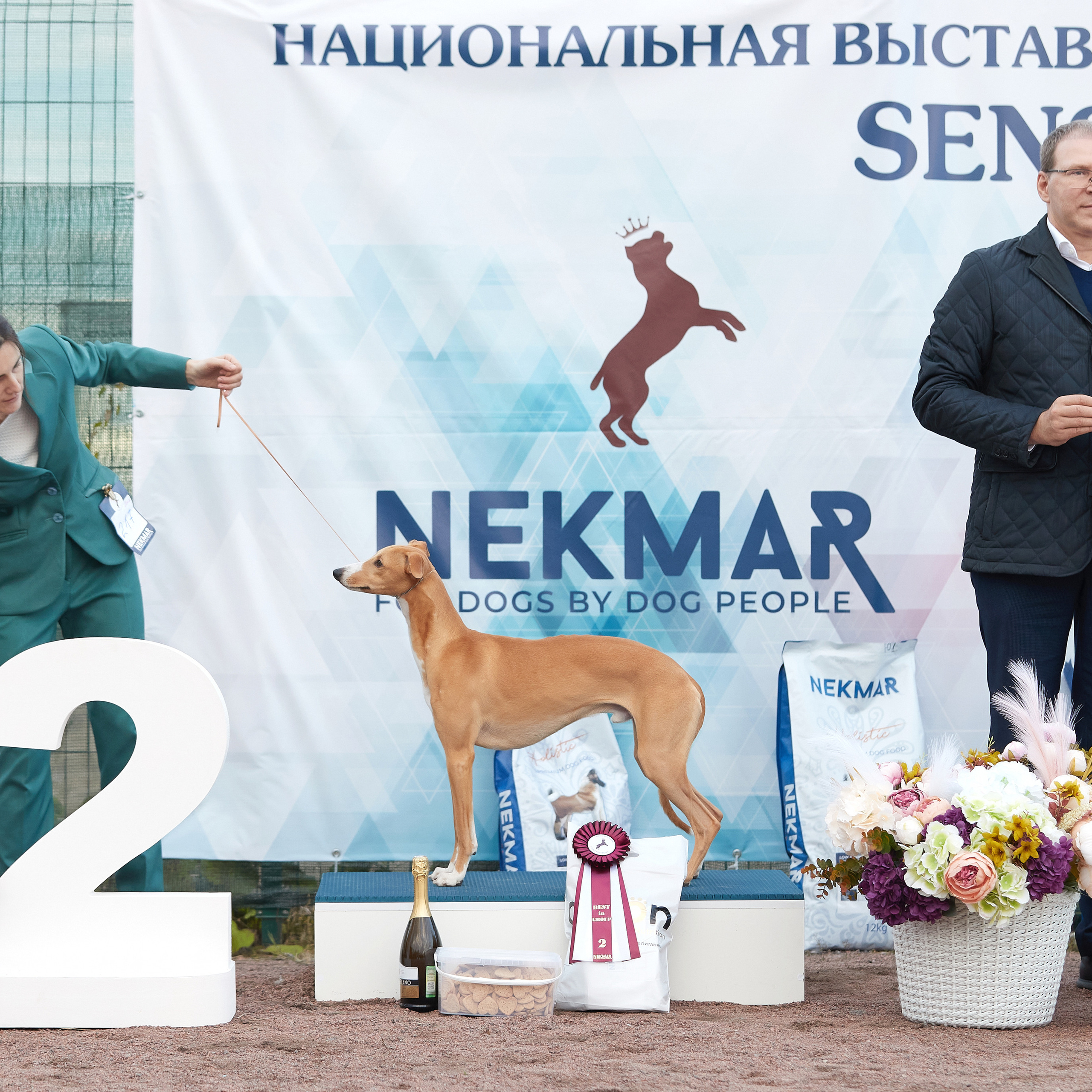 18.09.22 ВЫСТАВКА СОБАК ВСЕХ ПОРОД (CAC, ЧФ) «СЕНСАЦИЯ-2022». Кинологический клуб РКФ РФСС СЕНСАЦИЯ